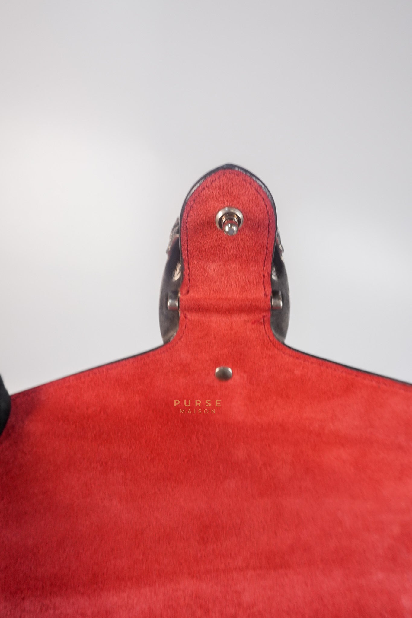 Dionysus Small Bag in Supreme Canvas in PVC Red Suede and Chain Strap | Purse Maison Luxury Bags Shop