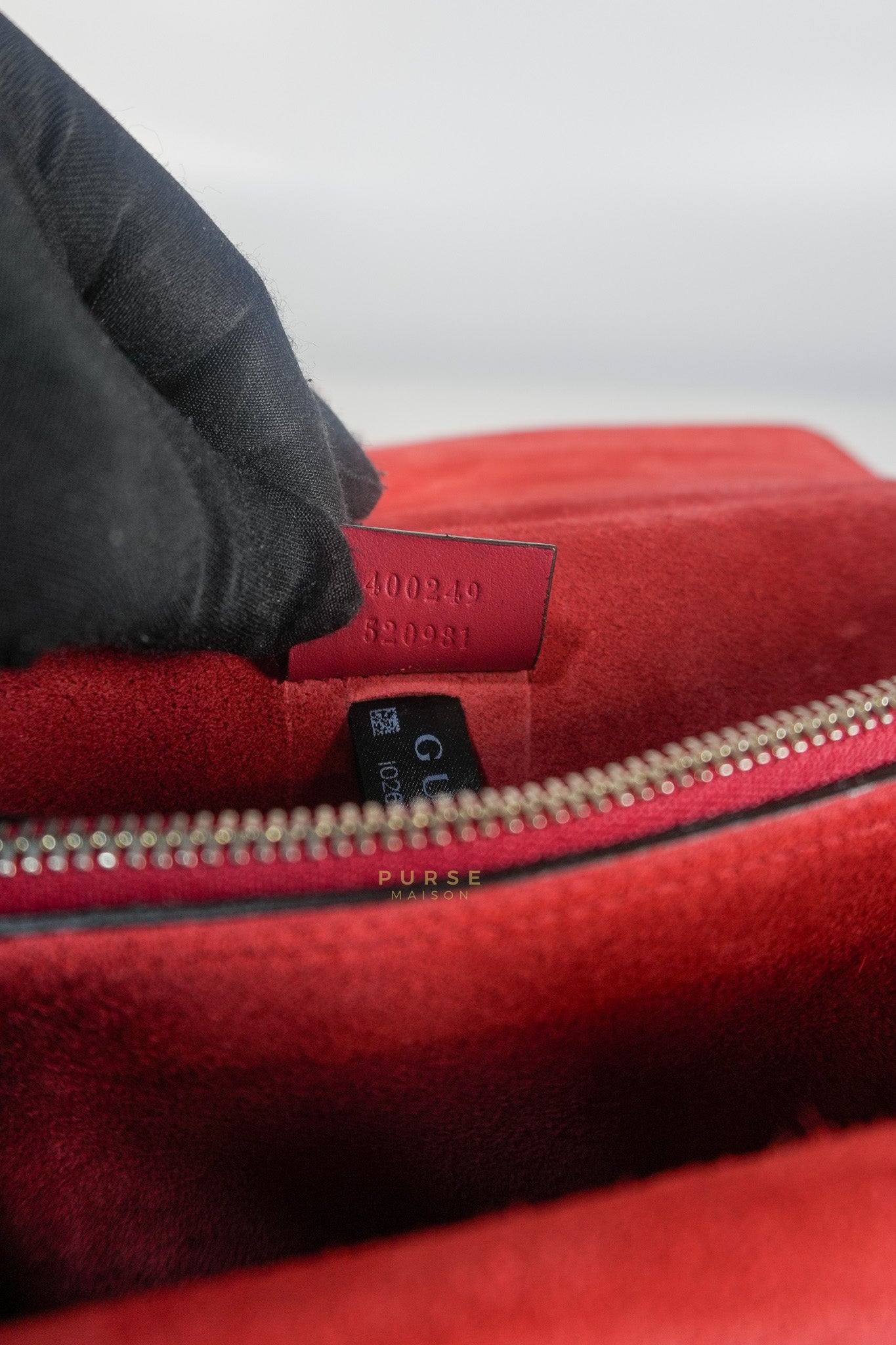 Dionysus Small Bag in Supreme Canvas in PVC Red Suede and Chain Strap | Purse Maison Luxury Bags Shop