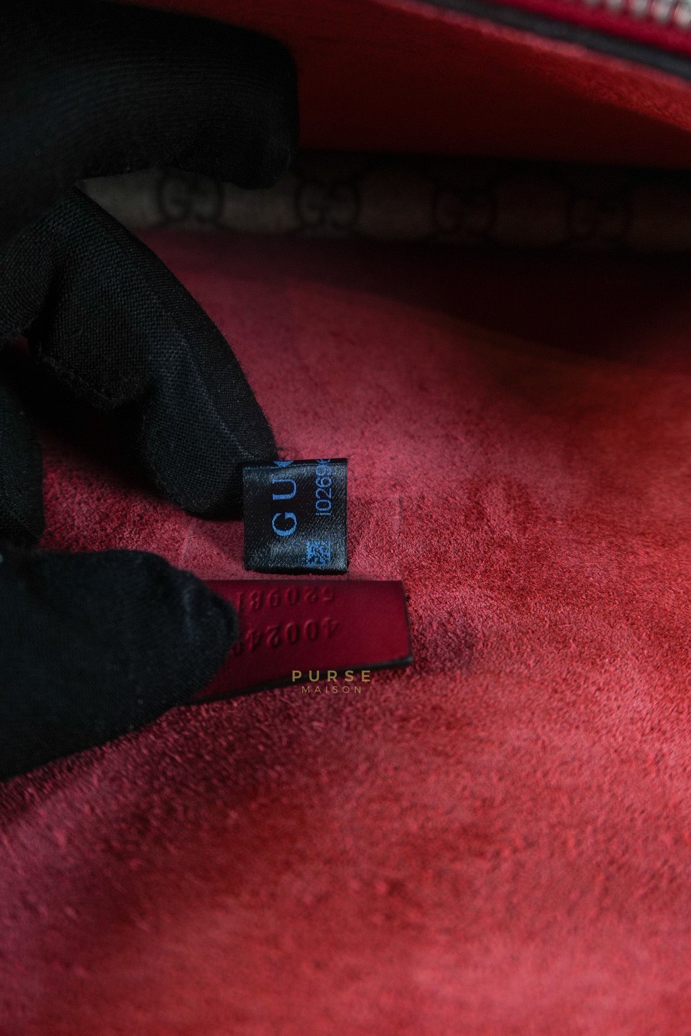 Dionysus Small Bag in Supreme Canvas in PVC Red Suede and Chain Strap | Purse Maison Luxury Bags Shop