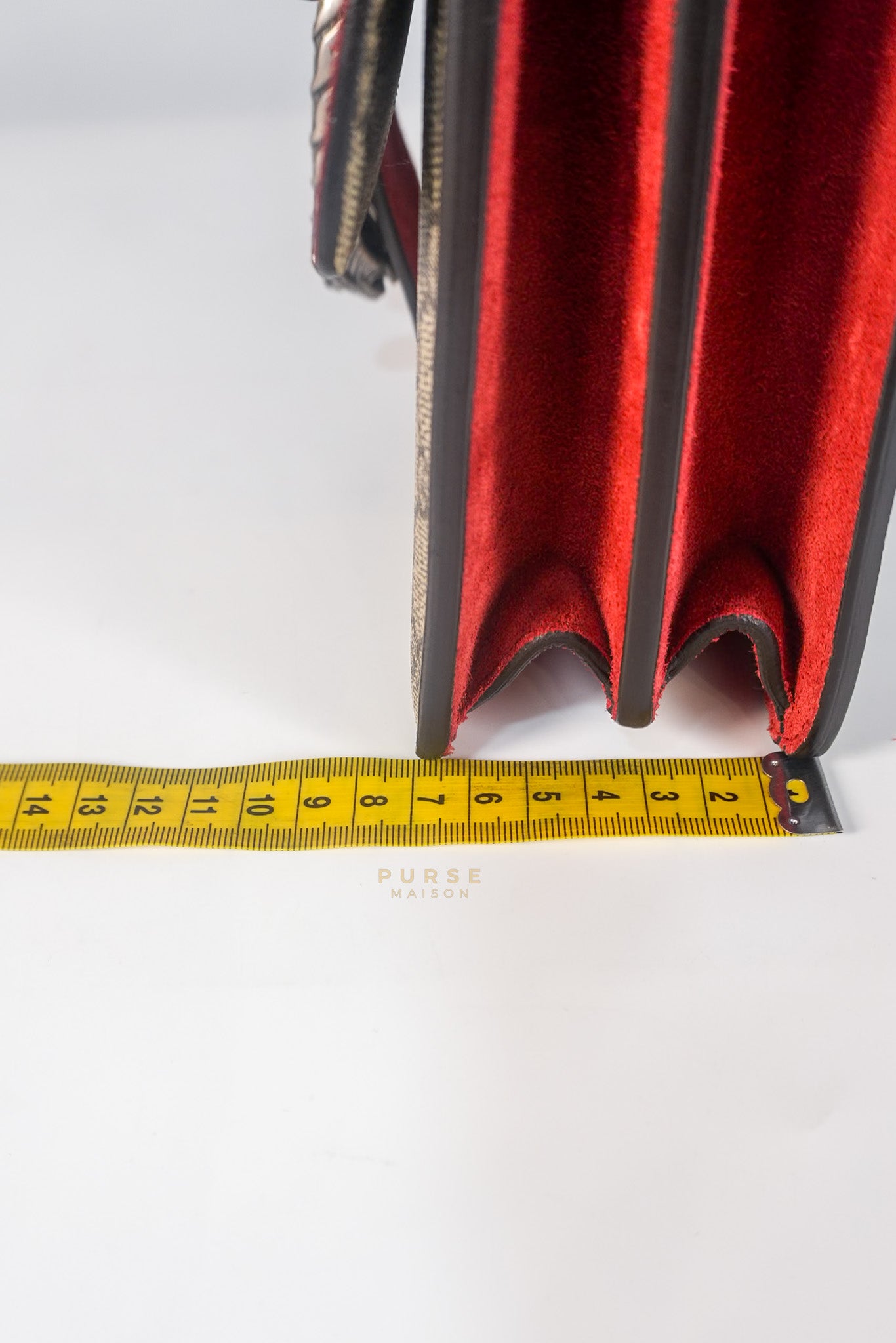 Dionysus Small Bag in Supreme Canvas in PVC Red Suede and Chain Strap | Purse Maison Luxury Bags Shop