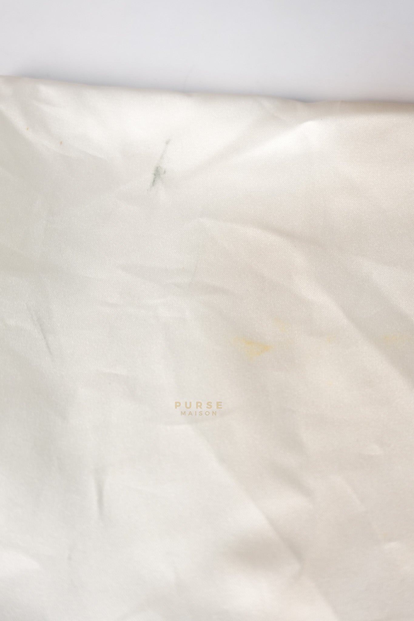 Dionysus Small Bag in Supreme Canvas in PVC Red Suede and Chain Strap | Purse Maison Luxury Bags Shop