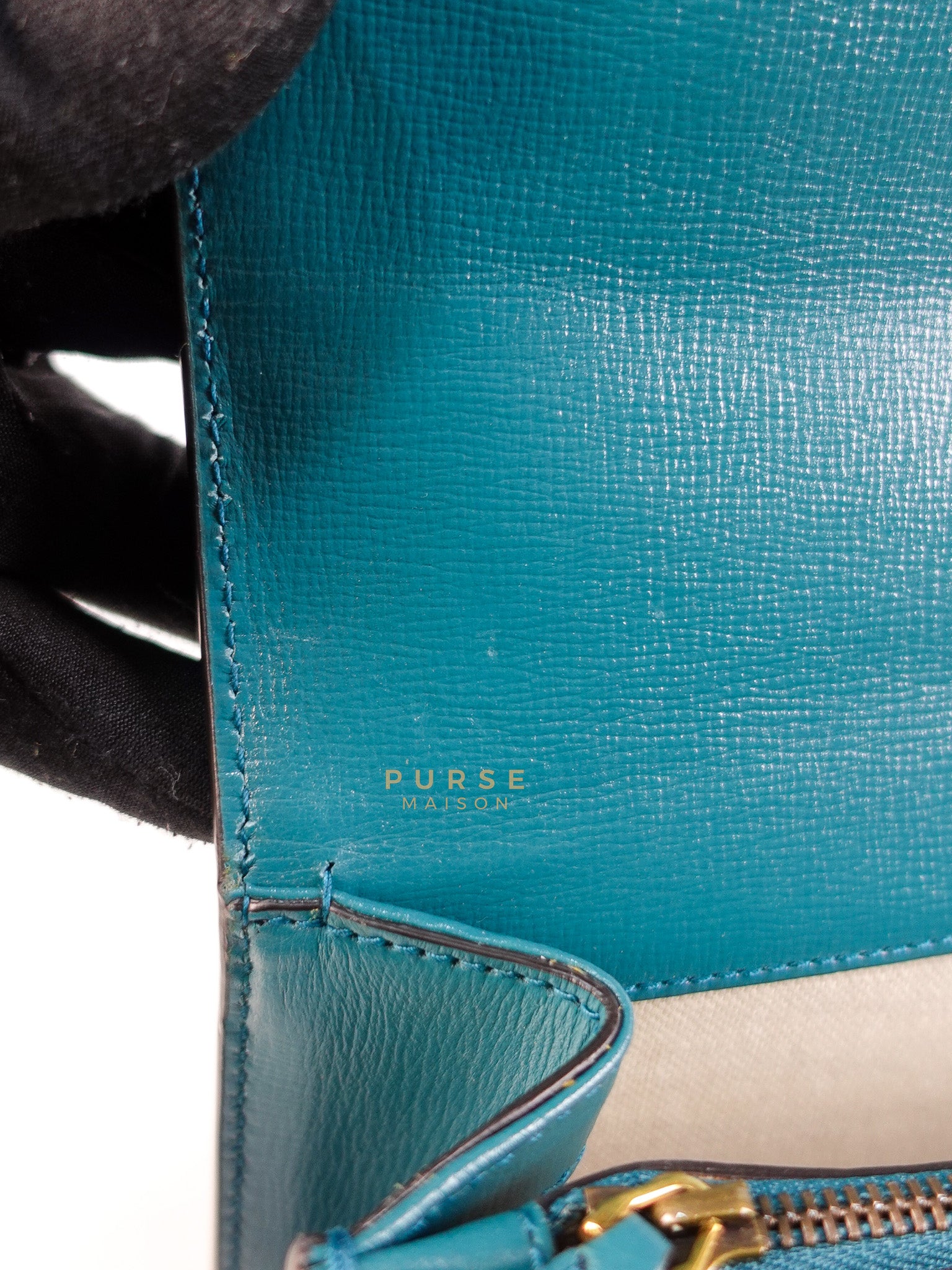 Dionysus Small Shoulder Bag in Blue & Green Silver Hardware | Purse Maison Luxury Bags Shop