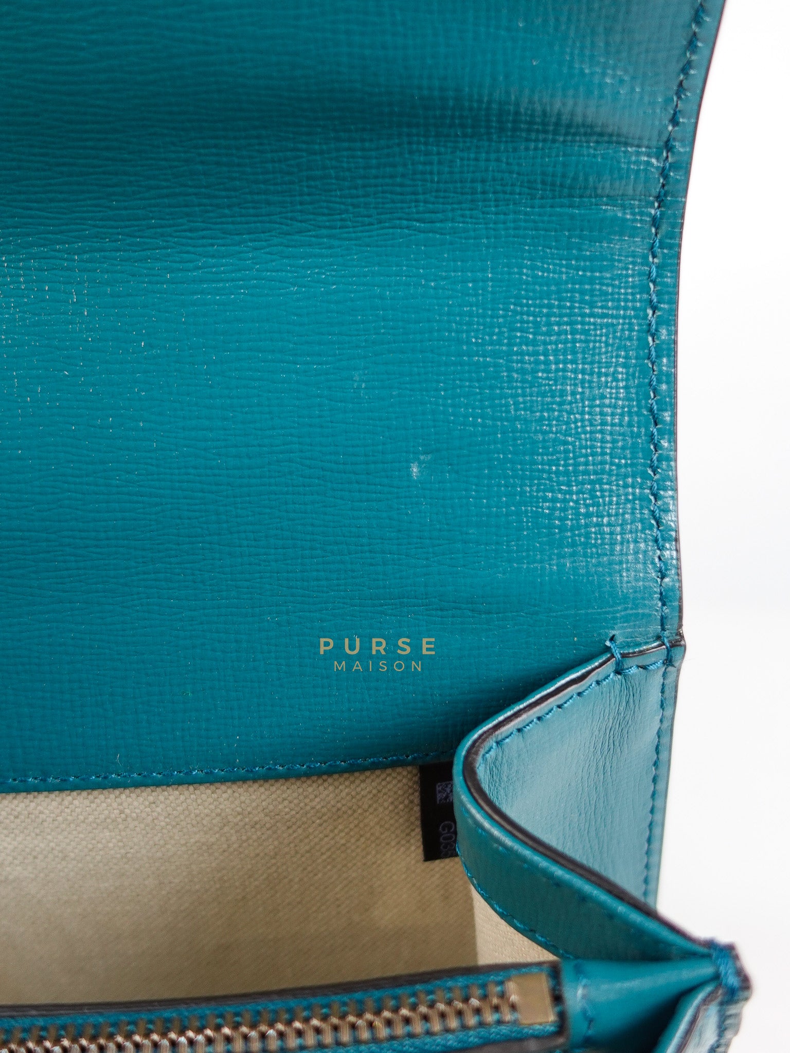 Dionysus Small Shoulder Bag in Blue & Green Silver Hardware | Purse Maison Luxury Bags Shop