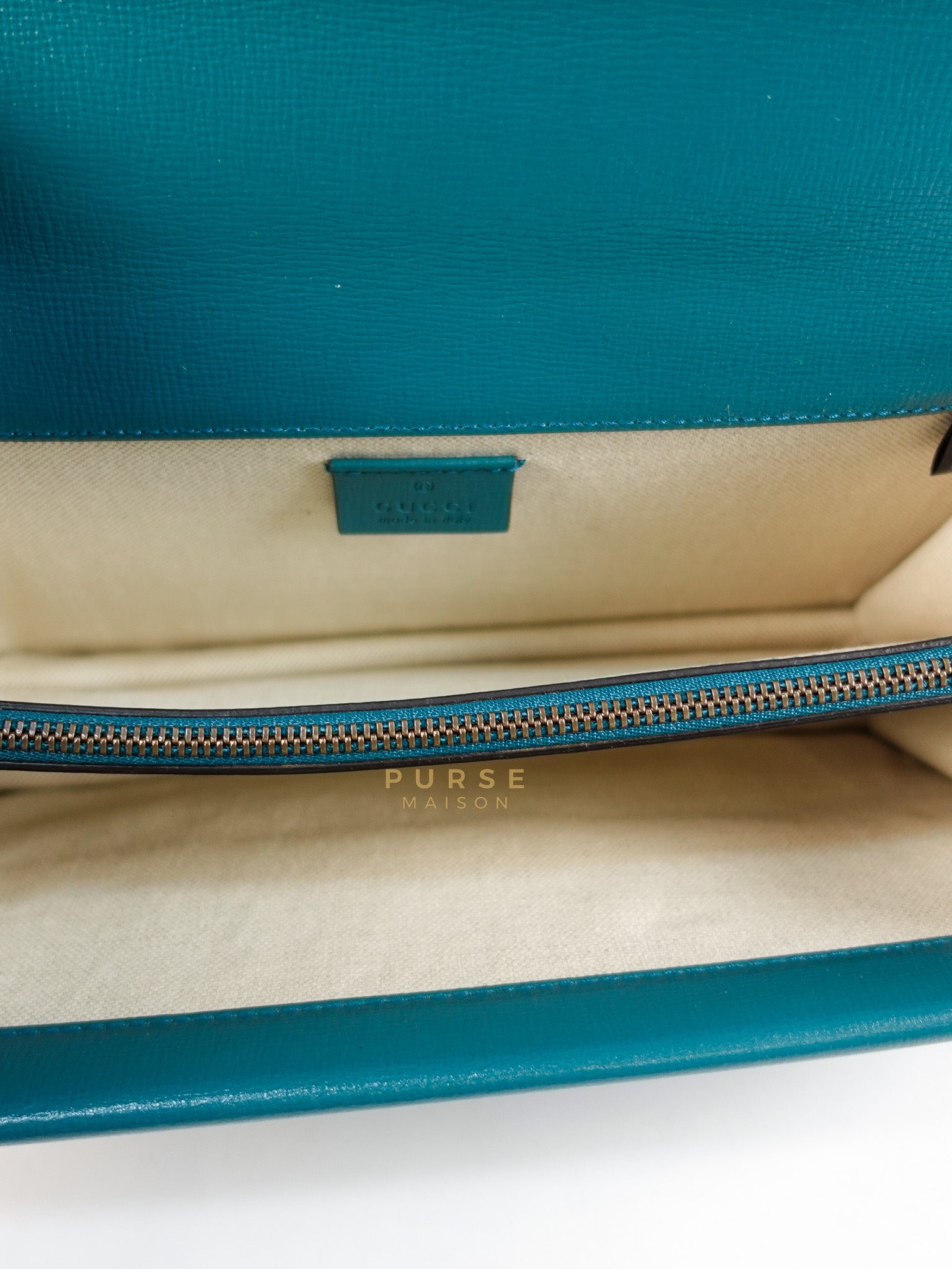 Dionysus Small Shoulder Bag in Blue & Green Silver Hardware | Purse Maison Luxury Bags Shop