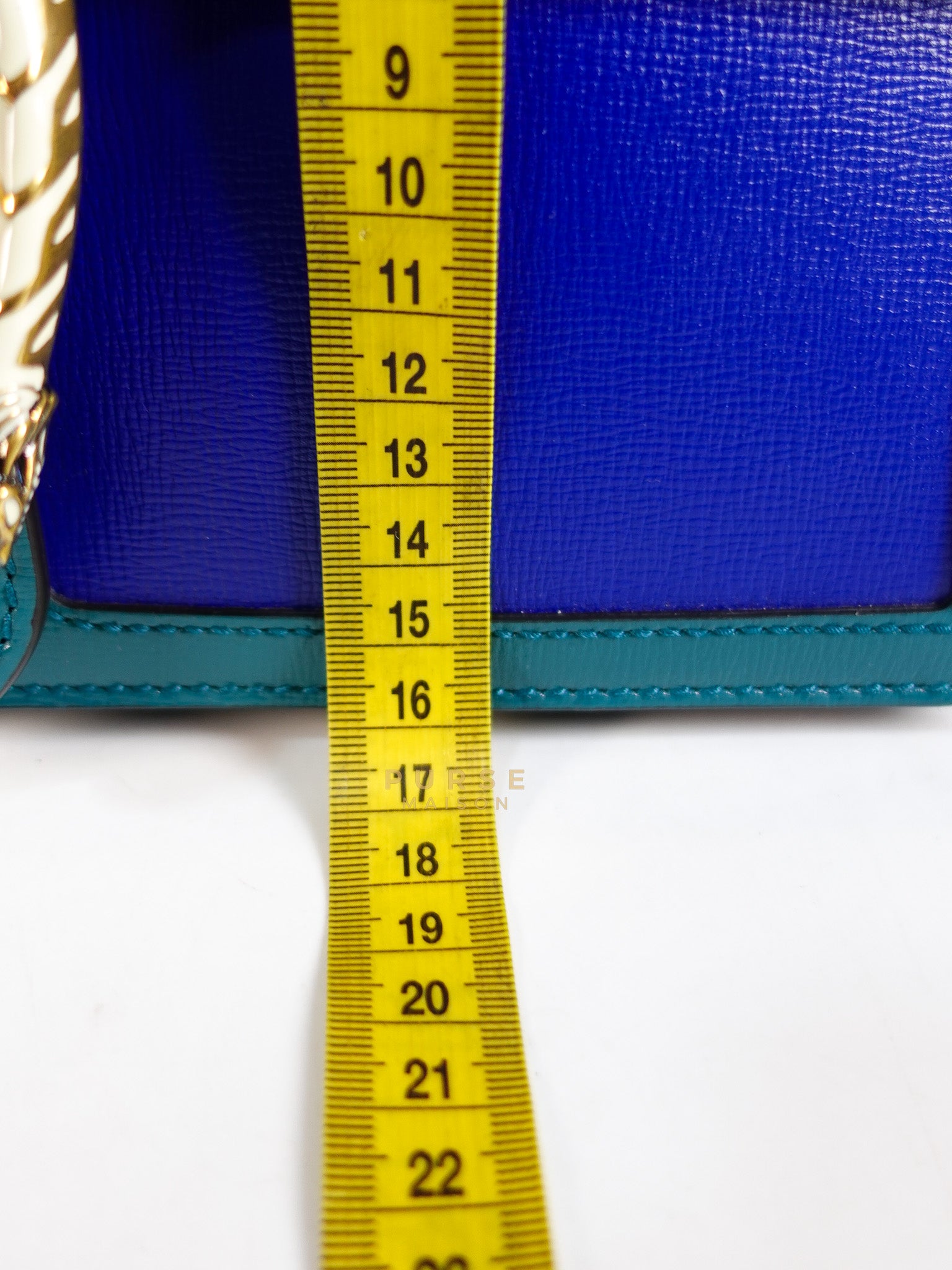 Dionysus Small Shoulder Bag in Blue & Green Silver Hardware | Purse Maison Luxury Bags Shop