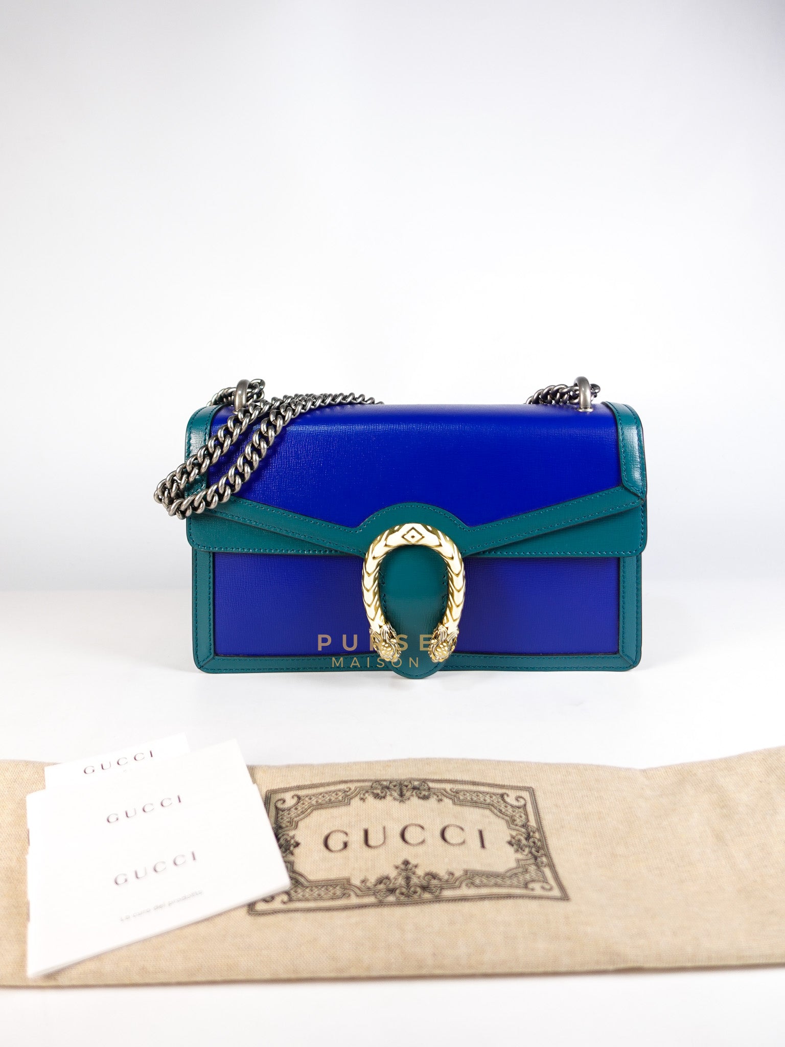 Dionysus Small Shoulder Bag in Blue & Green Silver Hardware | Purse Maison Luxury Bags Shop