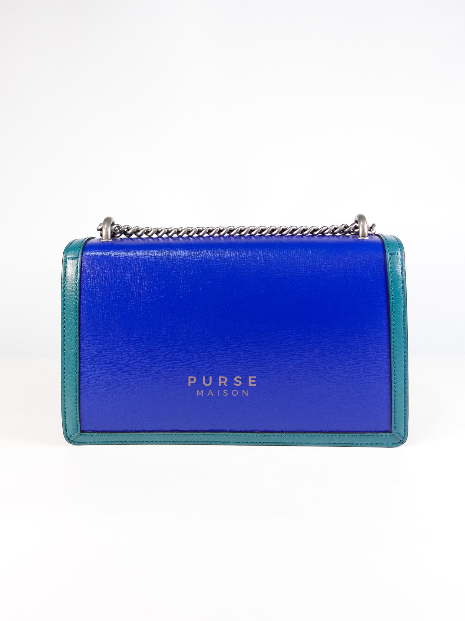 Dionysus Small Shoulder Bag in Blue & Green Silver Hardware | Purse Maison Luxury Bags Shop