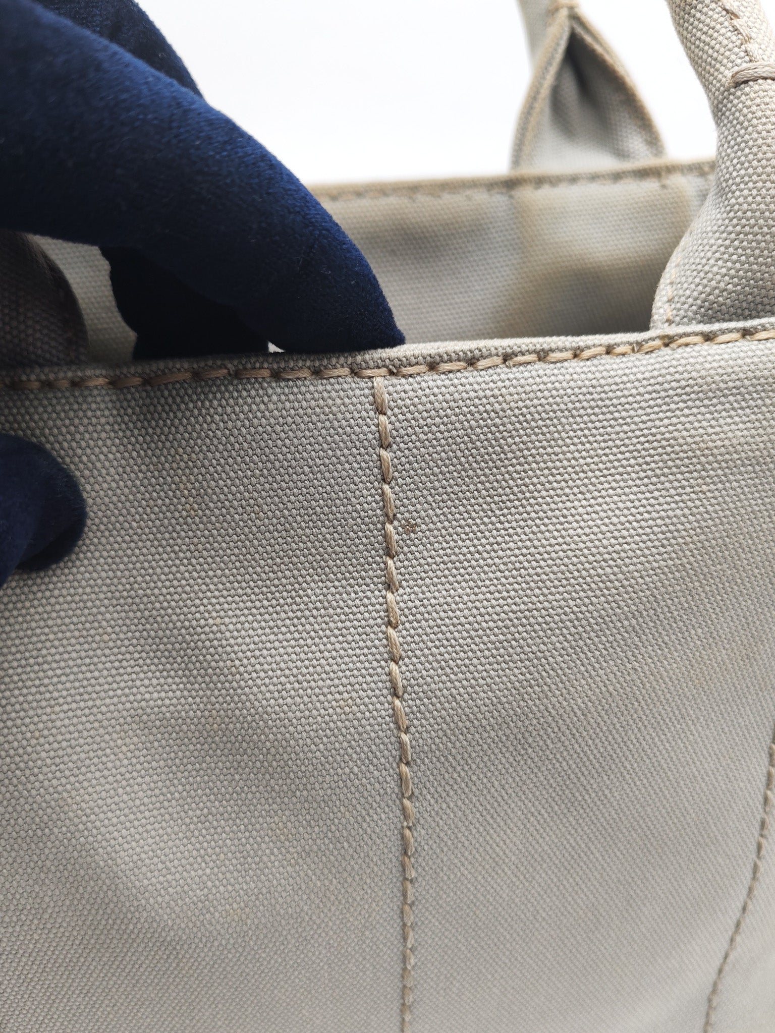 Canapa Canvas Small Tote Bag in Gray & Gold Hardware