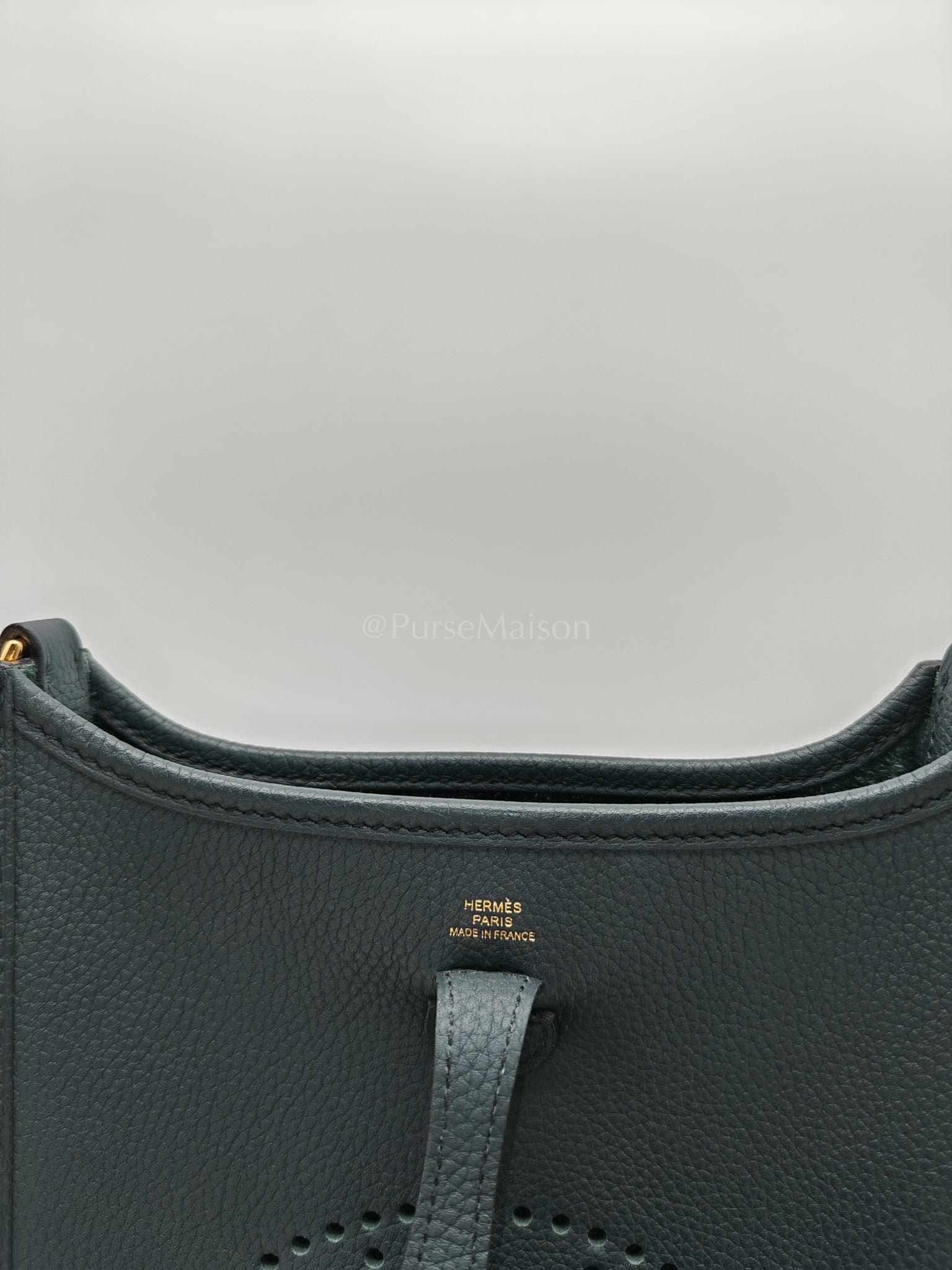 Evelyne 16 TPM Taurillion Maurice Vert Rousseau in Gold Hardware Stamp B(2023) | Purse Maison Luxury Bags Shop
