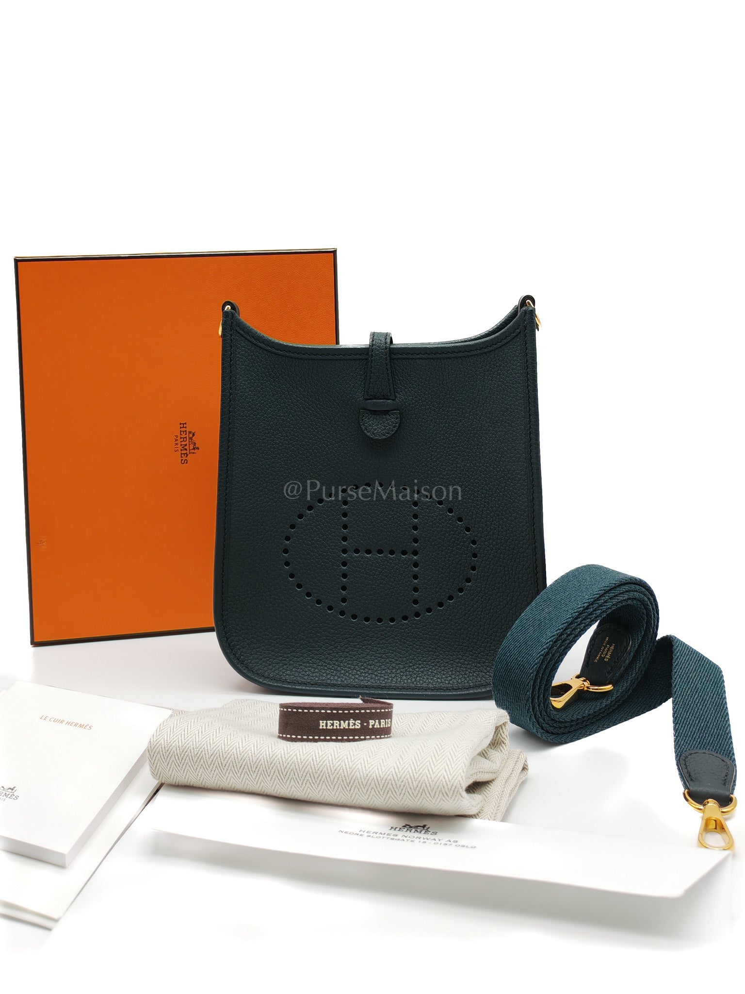 Evelyne 16 TPM Taurillion Maurice Vert Rousseau in Gold Hardware Stamp B(2023) | Purse Maison Luxury Bags Shop