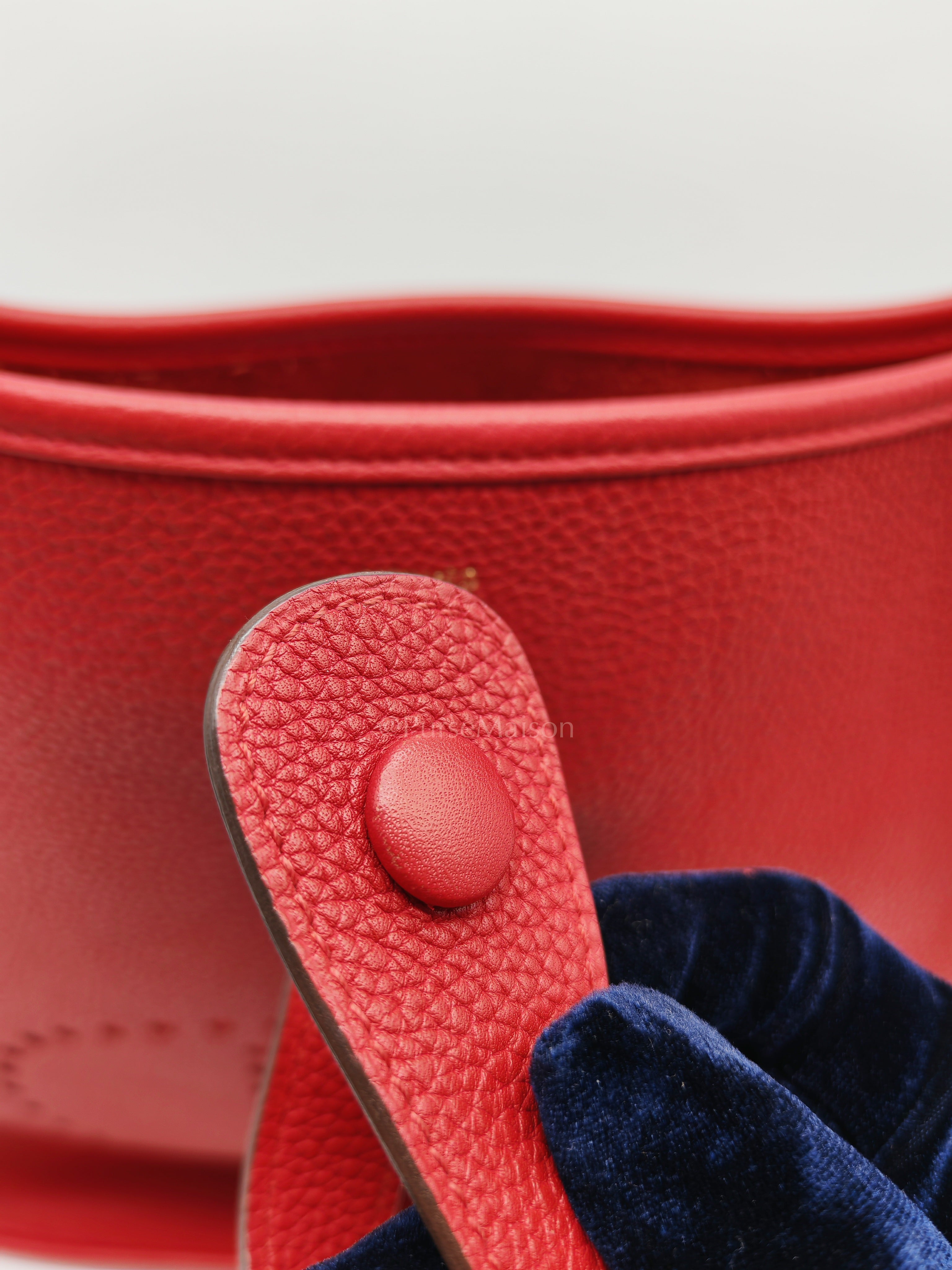 Evelyne GM in Red Celemce Leather and Gold Hardware Stamp U (2022) | Purse Maison Luxury Bags Shop