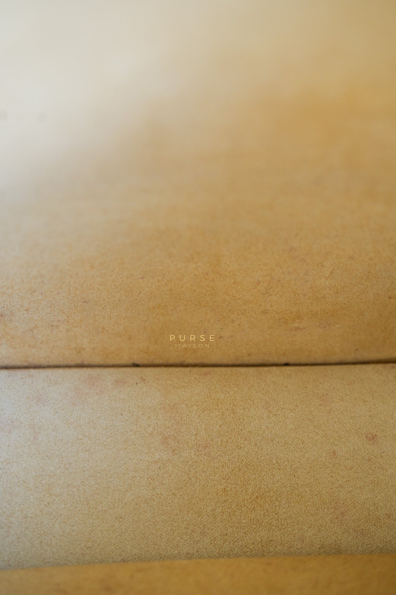 Evelyne III PM Jaune Poussin Clemence in Palladium Hardware Stamp T | Purse Maison Luxury Bags Shop