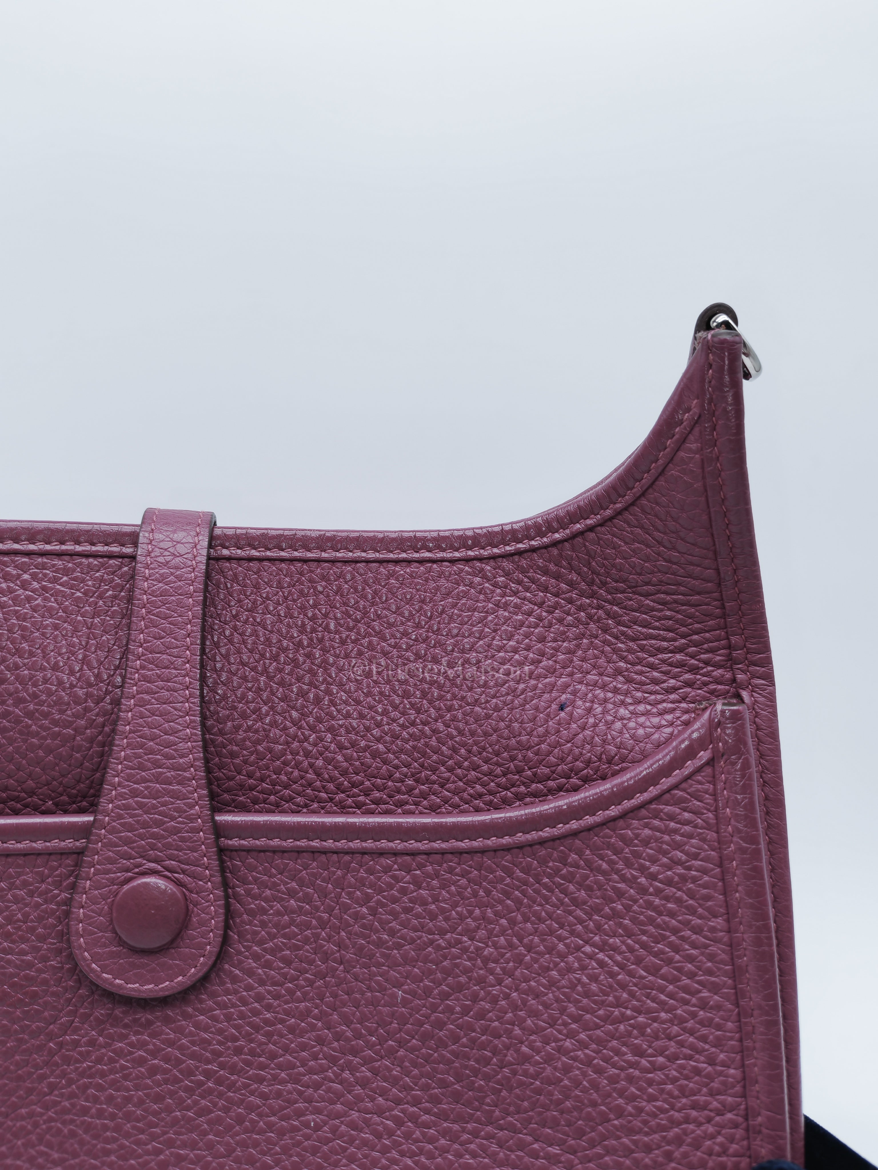 Evelyne PM in Anemone Taurillom Clemence Leather & Palladium Hardware Stamp Square R (2014) | Purse Maison Luxury Bags Shop