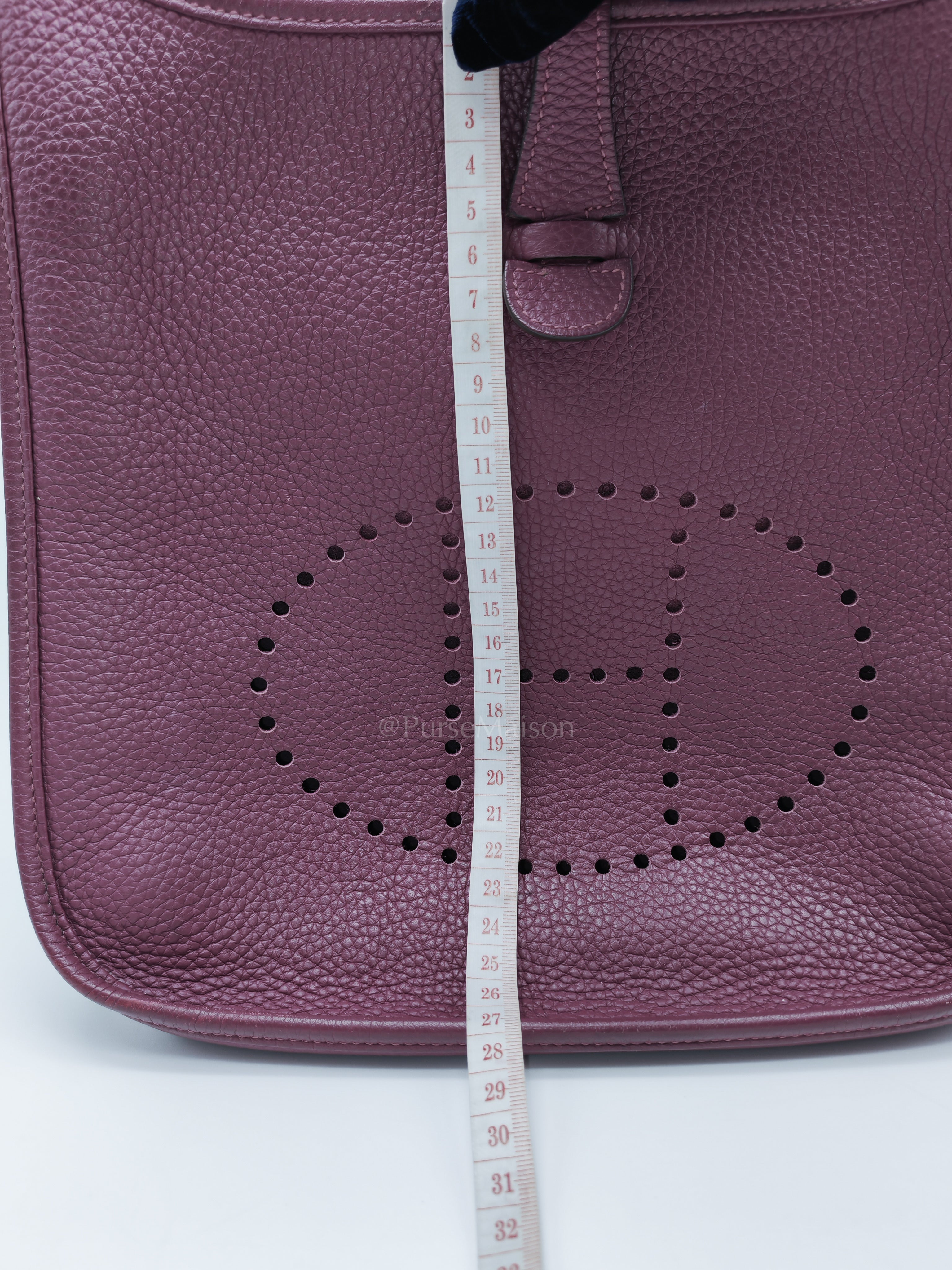 Evelyne PM in Anemone Taurillom Clemence Leather & Palladium Hardware Stamp Square R (2014) | Purse Maison Luxury Bags Shop