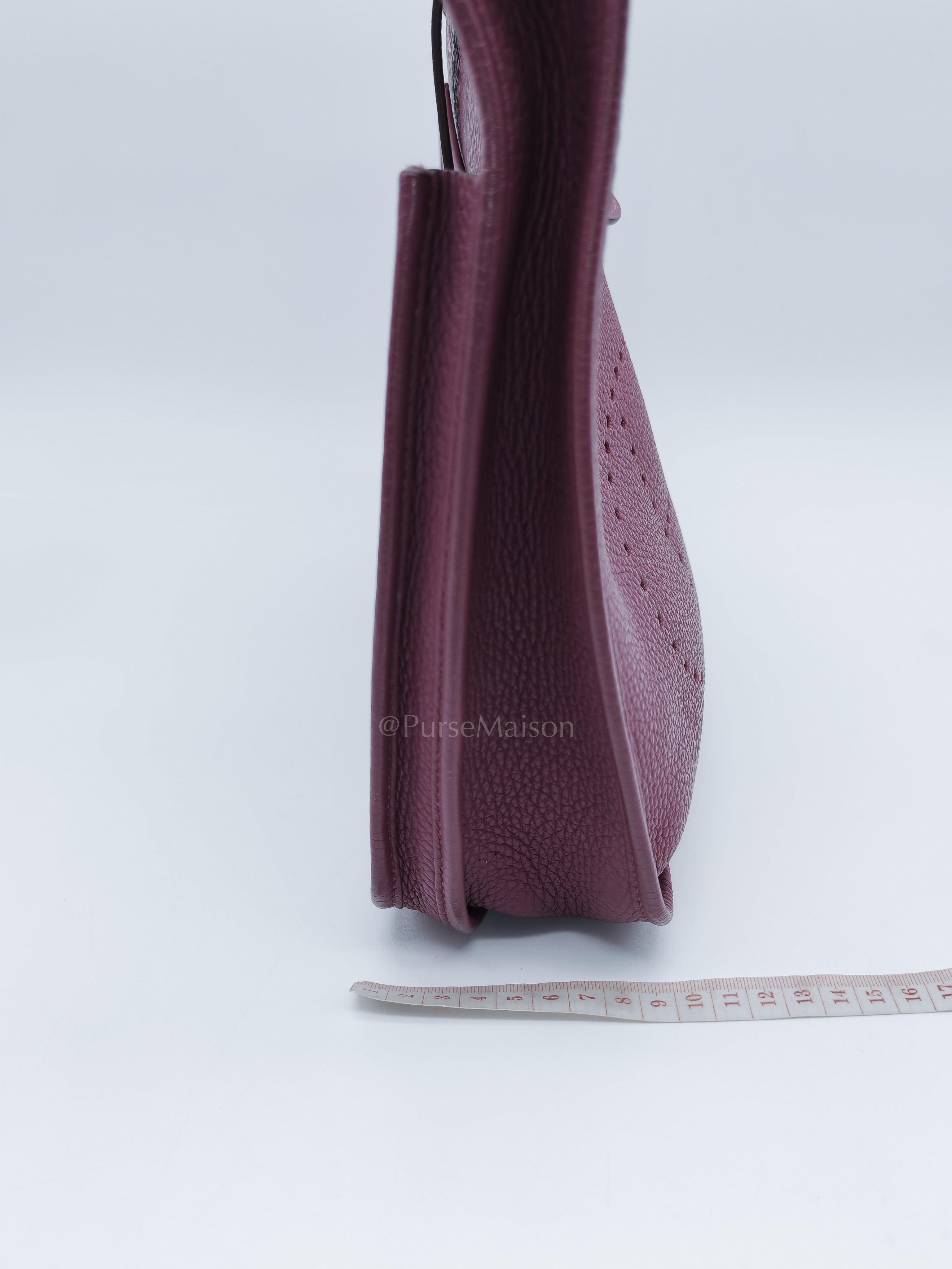 Evelyne PM in Anemone Taurillom Clemence Leather & Palladium Hardware Stamp Square R (2014) | Purse Maison Luxury Bags Shop