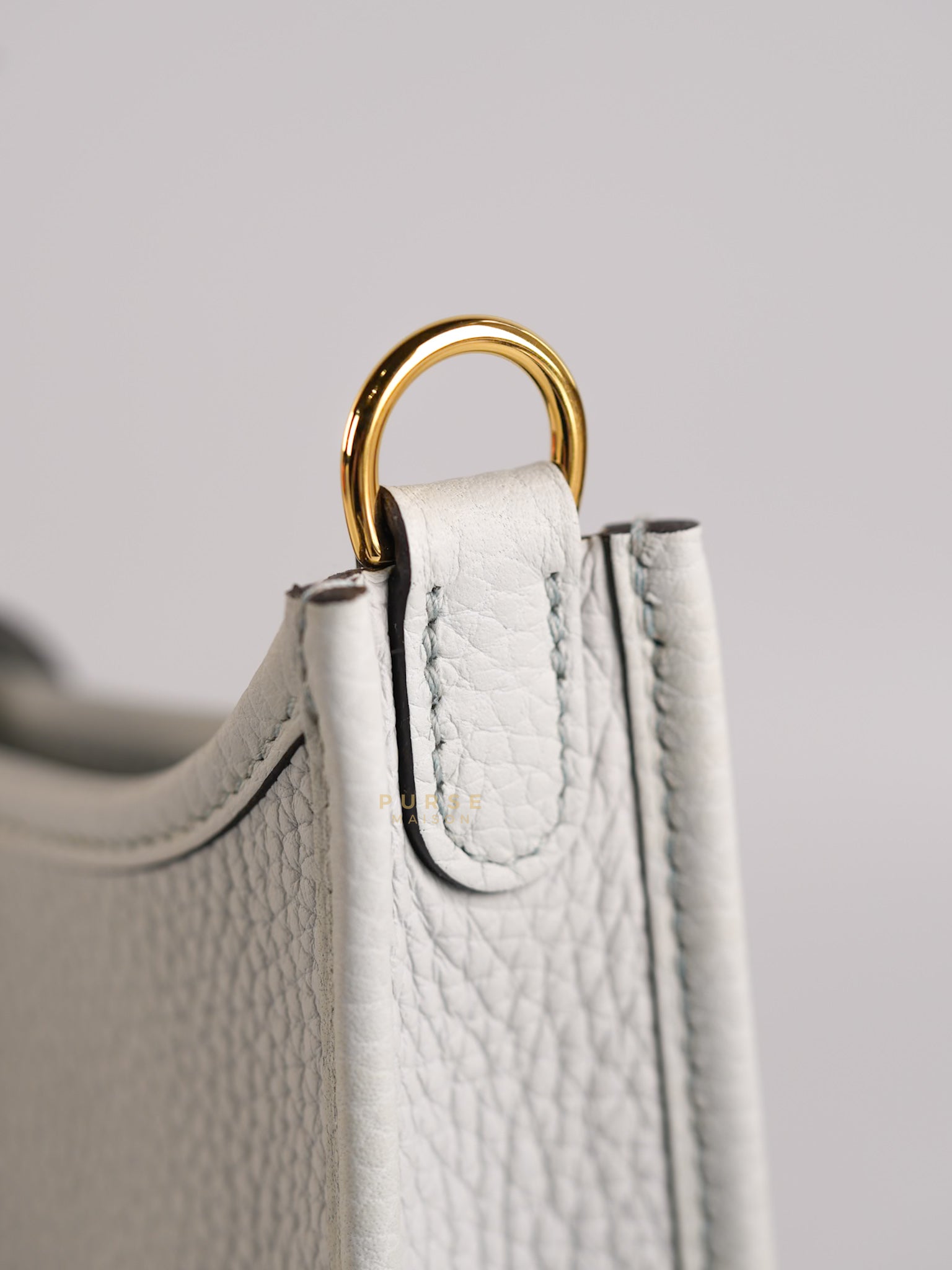 Evelyne TPM in Bleu Pale Taurillon Clemence Leather in Gold Hardware Stamp W (2024) | Purse Maison Luxury Bags Shop