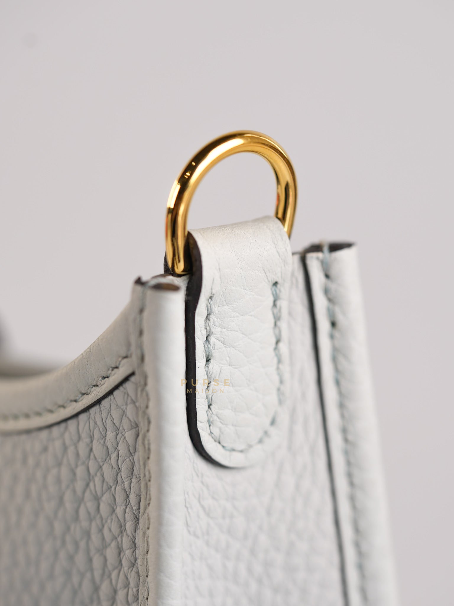 Evelyne TPM in Bleu Pale Taurillon Clemence Leather in Gold Hardware Stamp W (2024) | Purse Maison Luxury Bags Shop