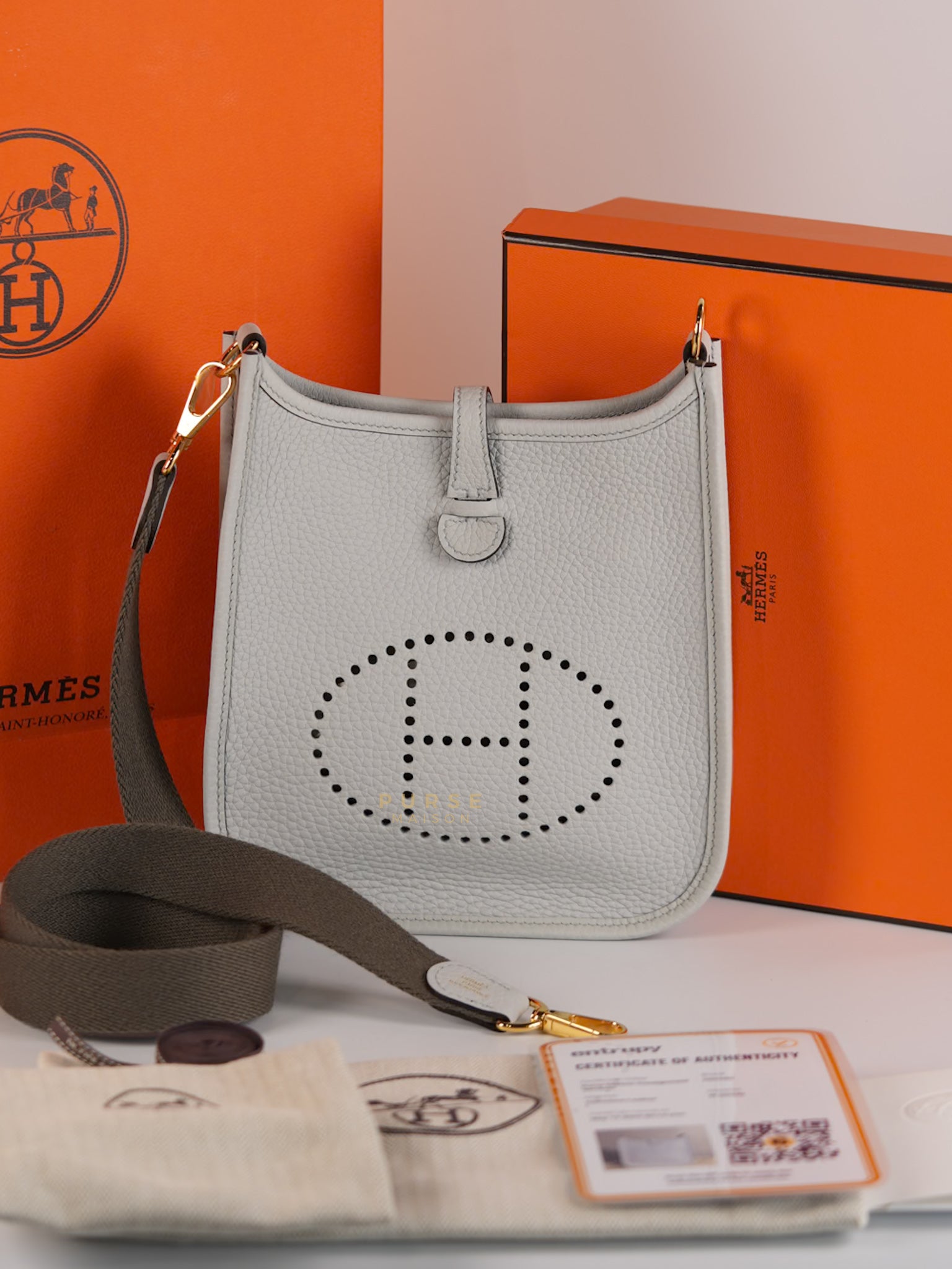 Evelyne TPM in Bleu Pale Taurillon Clemence Leather in Gold Hardware Stamp W (2024) | Purse Maison Luxury Bags Shop