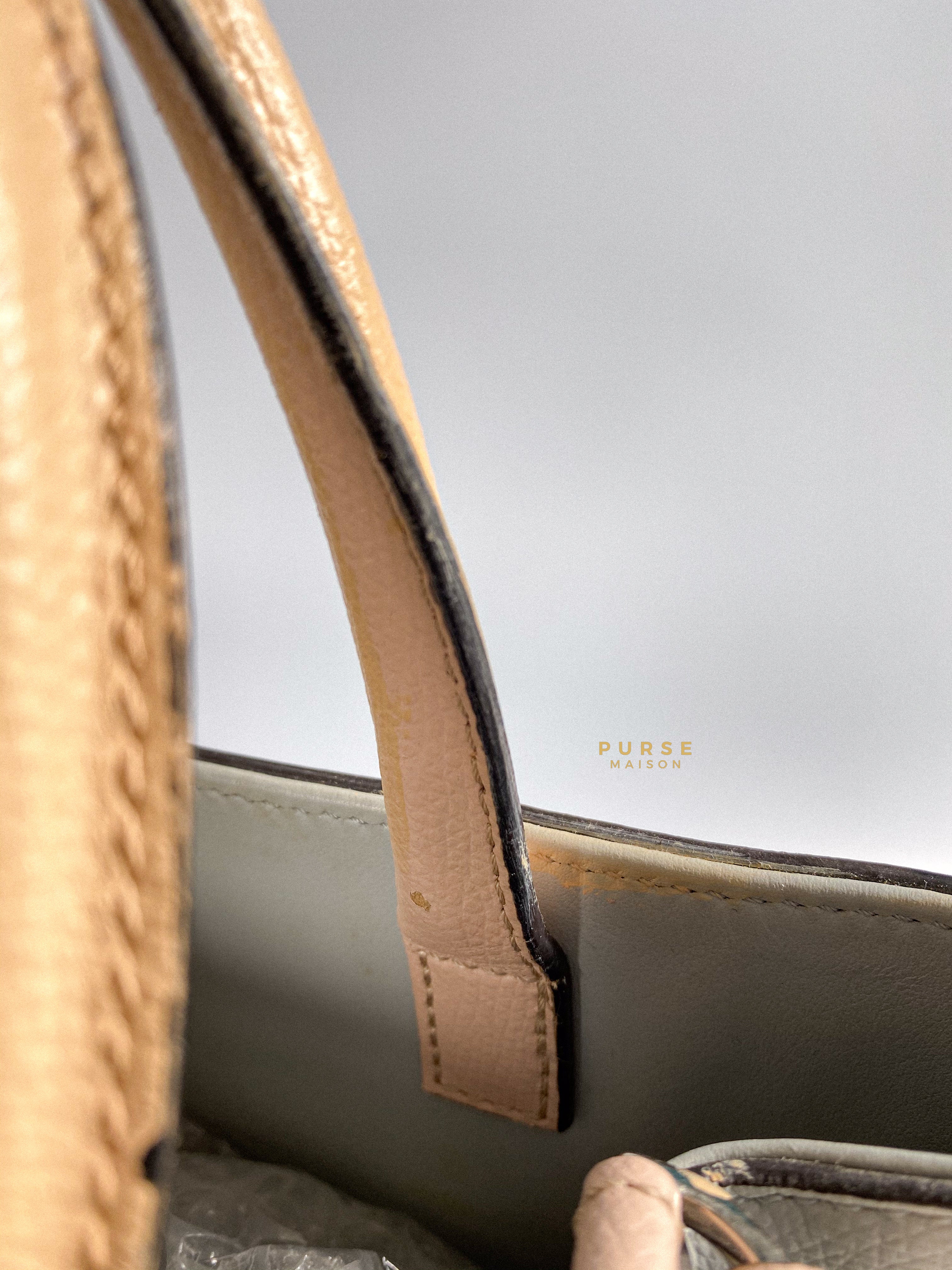 Fendi 2 Jours Monster Calfskin Petite Bag