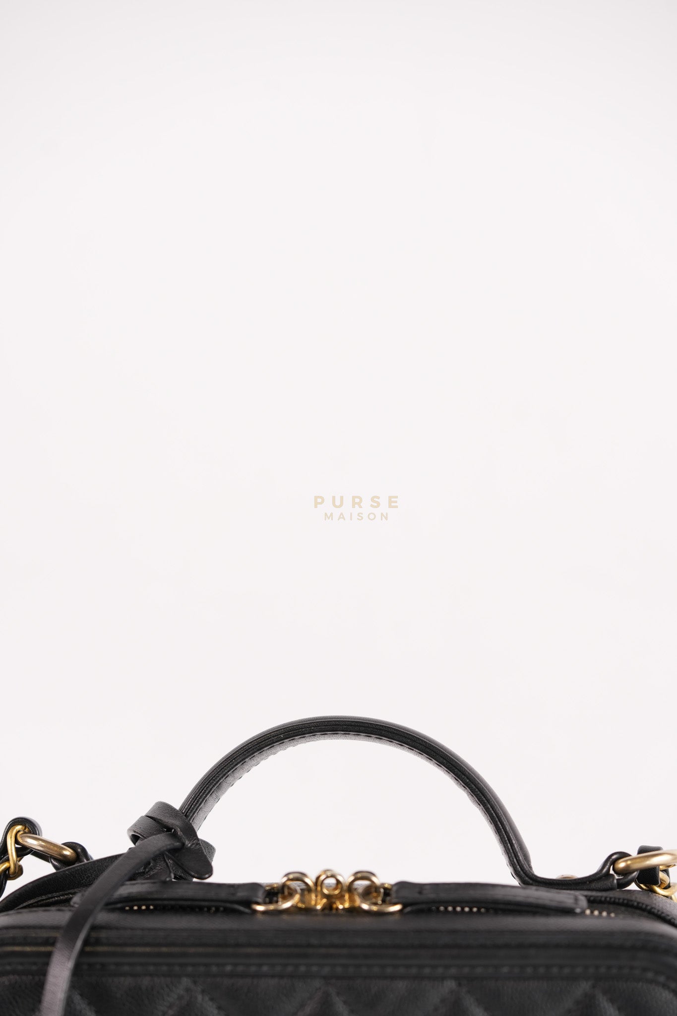 Filigree Medium Vanity Case in Black Caviar Leather and Aged Gold Hardware Series 26 | Purse Maison Luxury Bags Shop