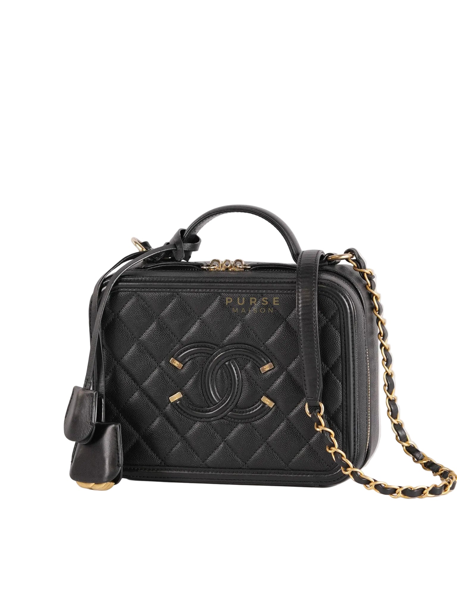 Filigree Medium Vanity Case in Black Caviar Leather and Aged Gold Hardware Series 26 | Purse Maison Luxury Bags Shop