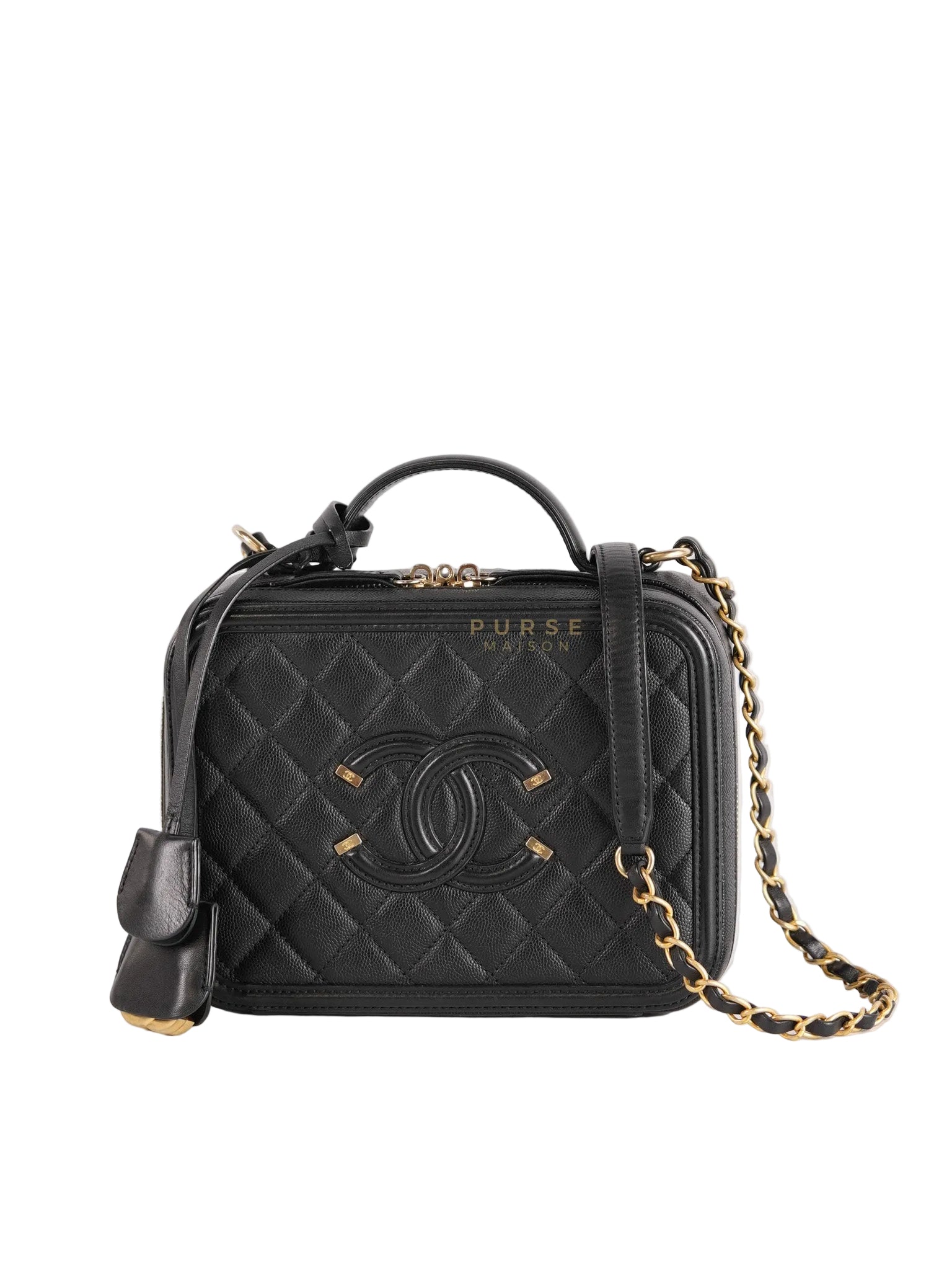Filigree Medium Vanity Case in Black Caviar Leather and Aged Gold Hardware Series 26 | Purse Maison Luxury Bags Shop
