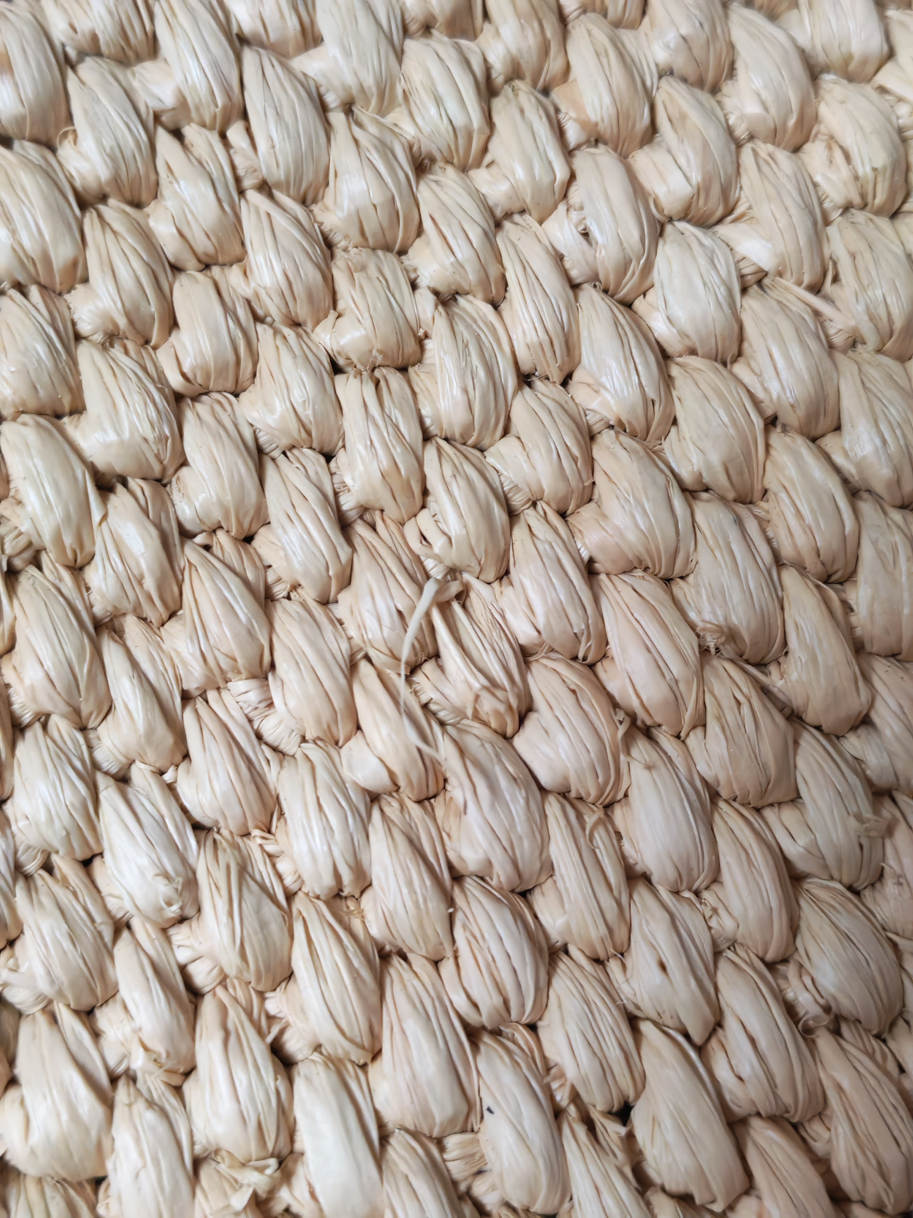 Font Tote in Raffia Beige Tote Bag | Purse Maison Luxury Bags Shop