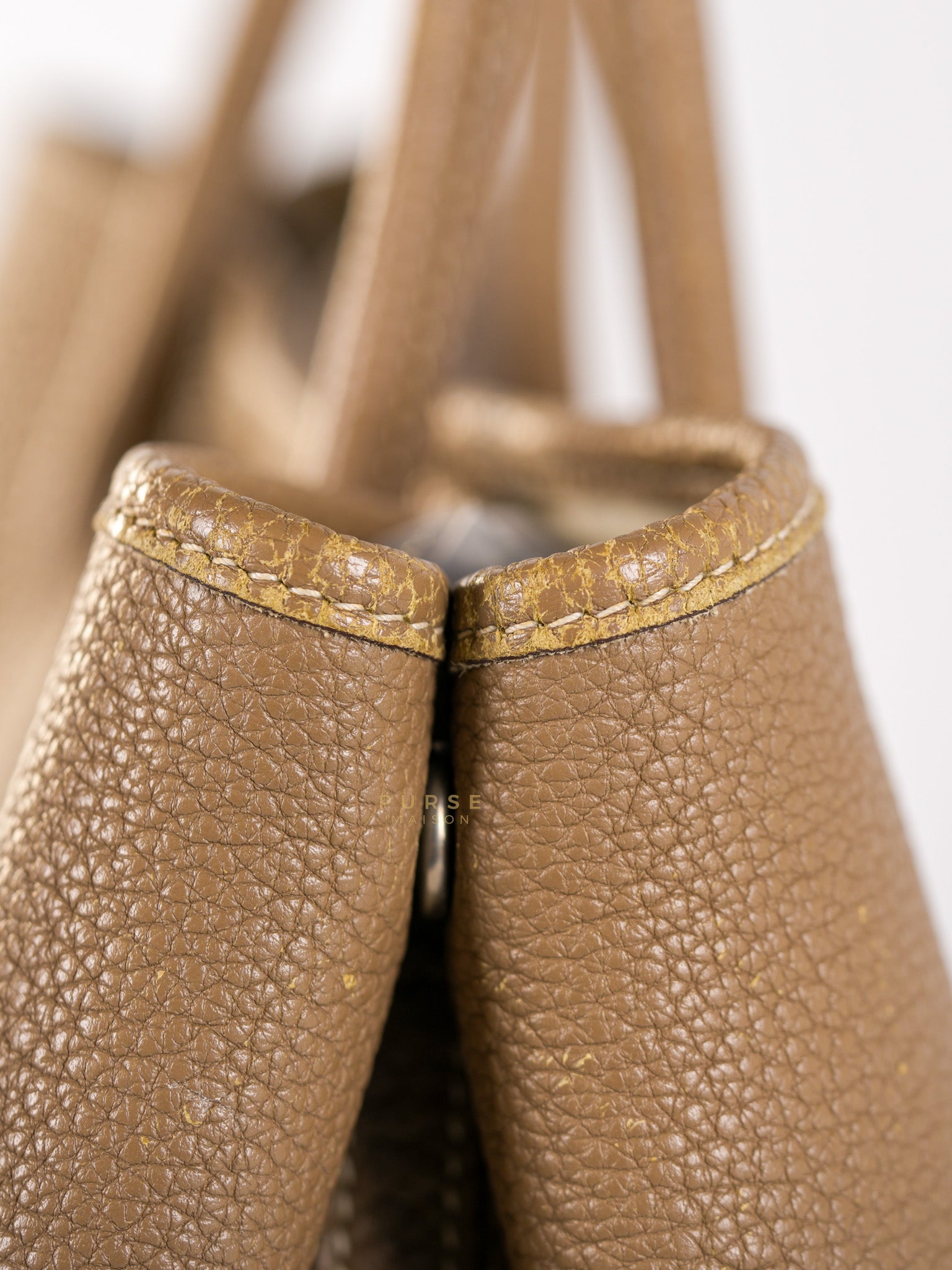 Garden Party Tote 30 (GPT) Etoupe Negonda Leather in Palladium Hardware Stamp Square R (2014) | Purse Maison Luxury Bags Shop