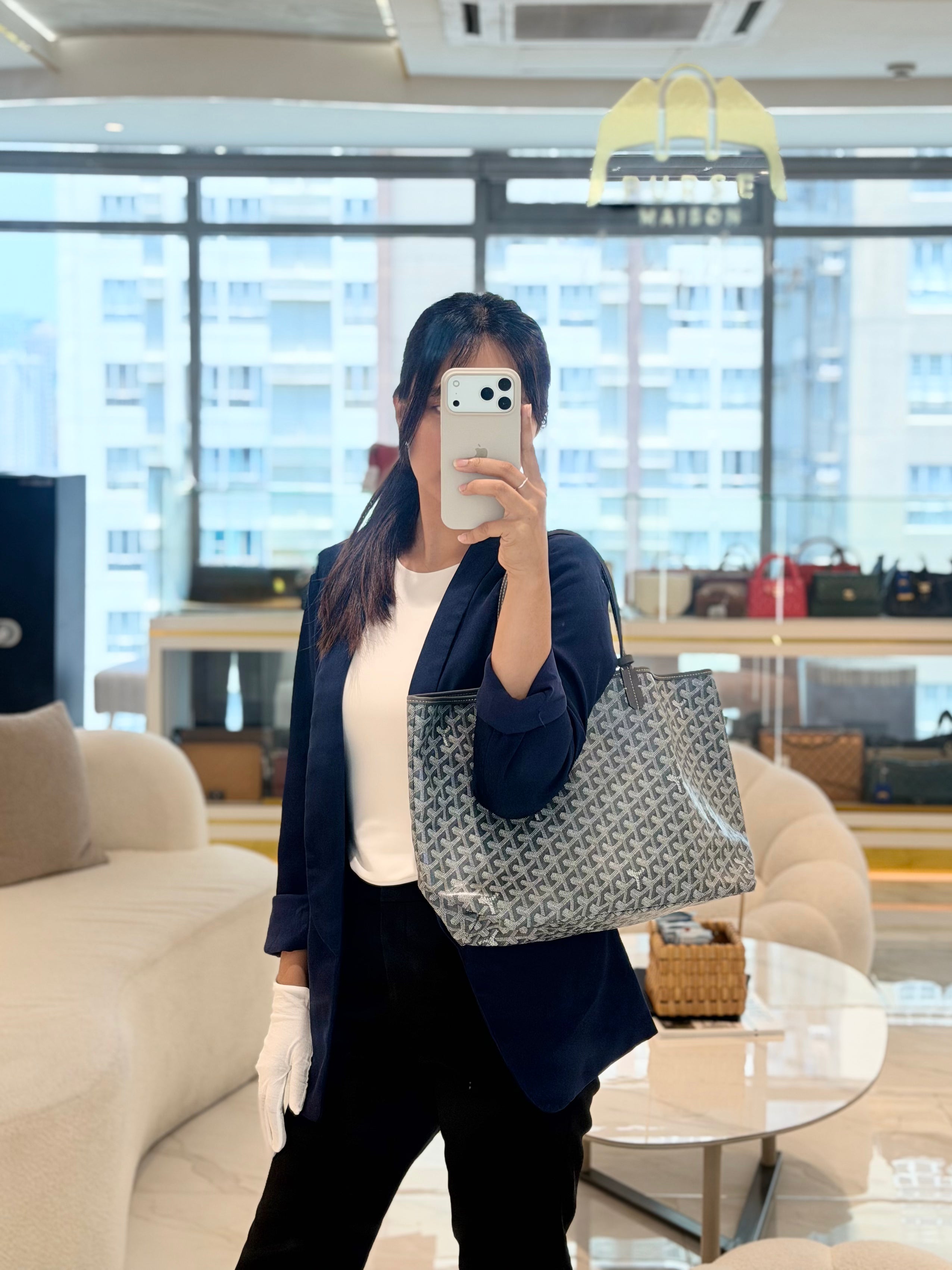 Saint Louis PM in Gray Goyardine Canvas | Purse Maison Luxury Bags Shop