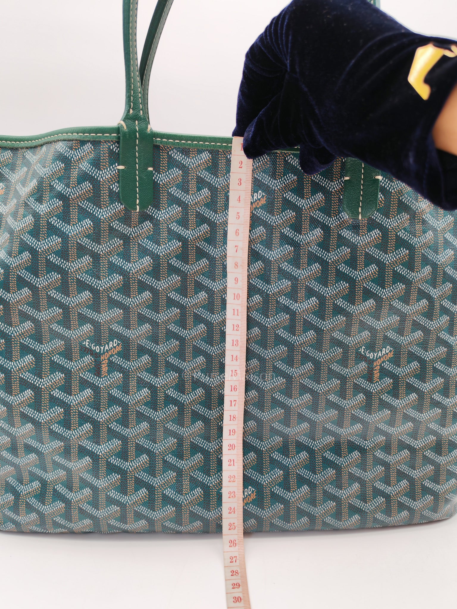 Goyard Saint Louis PM Tote Bag in Green Goyardine Canvas | Purse Maison Luxury Bags Shop