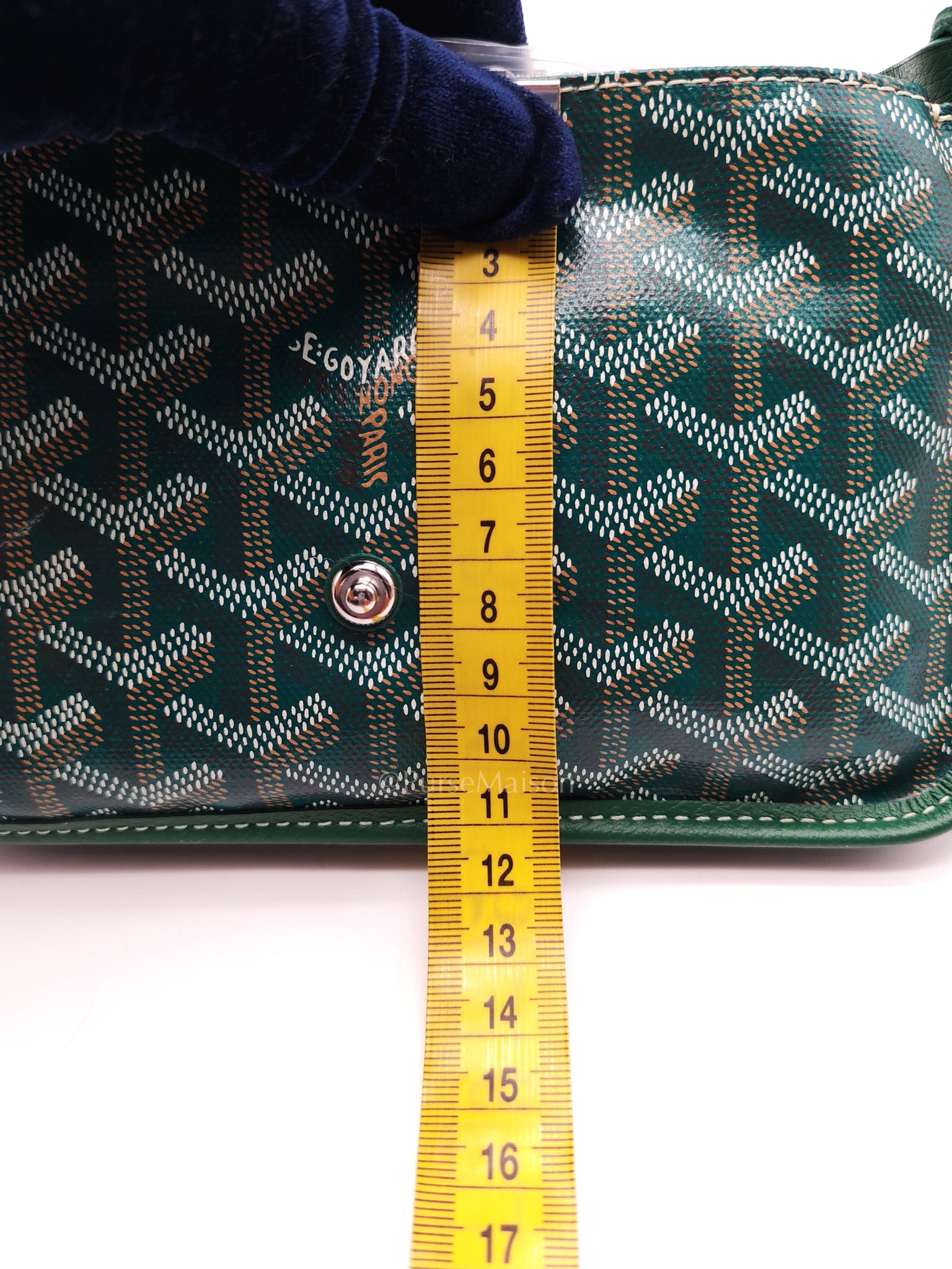 Goyard Plumet Crossbody Bag in Green Goyardine Canvas
