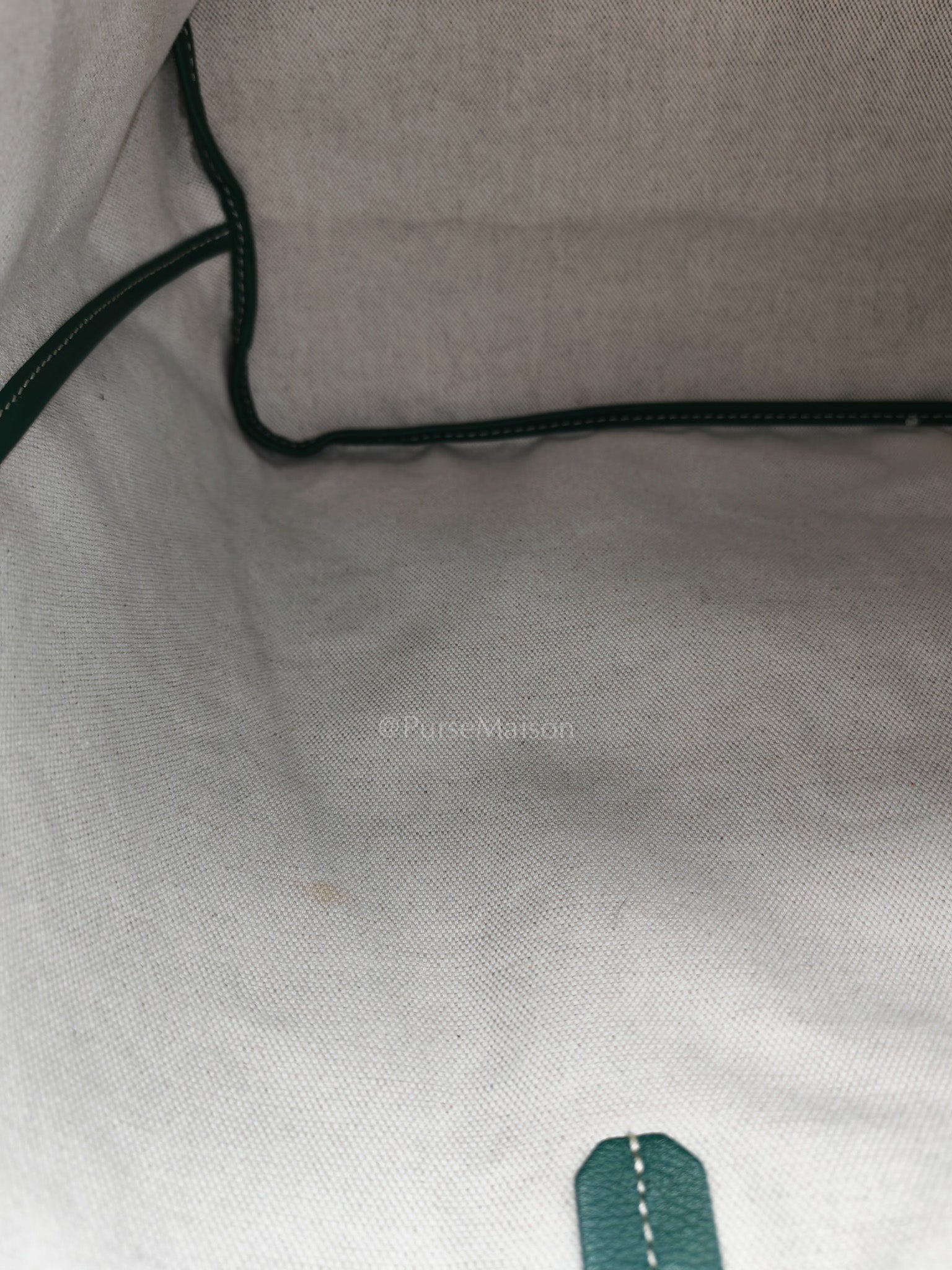 Saint Louis PM in Green Goyardine Canvas