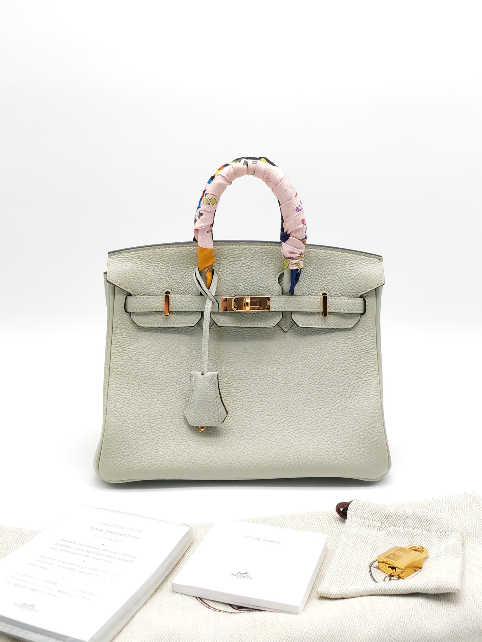 Birkin 25 Retourne in Gris Neve Togo Leather & Gold Hardware Stamp B(2023) with Free Twilly