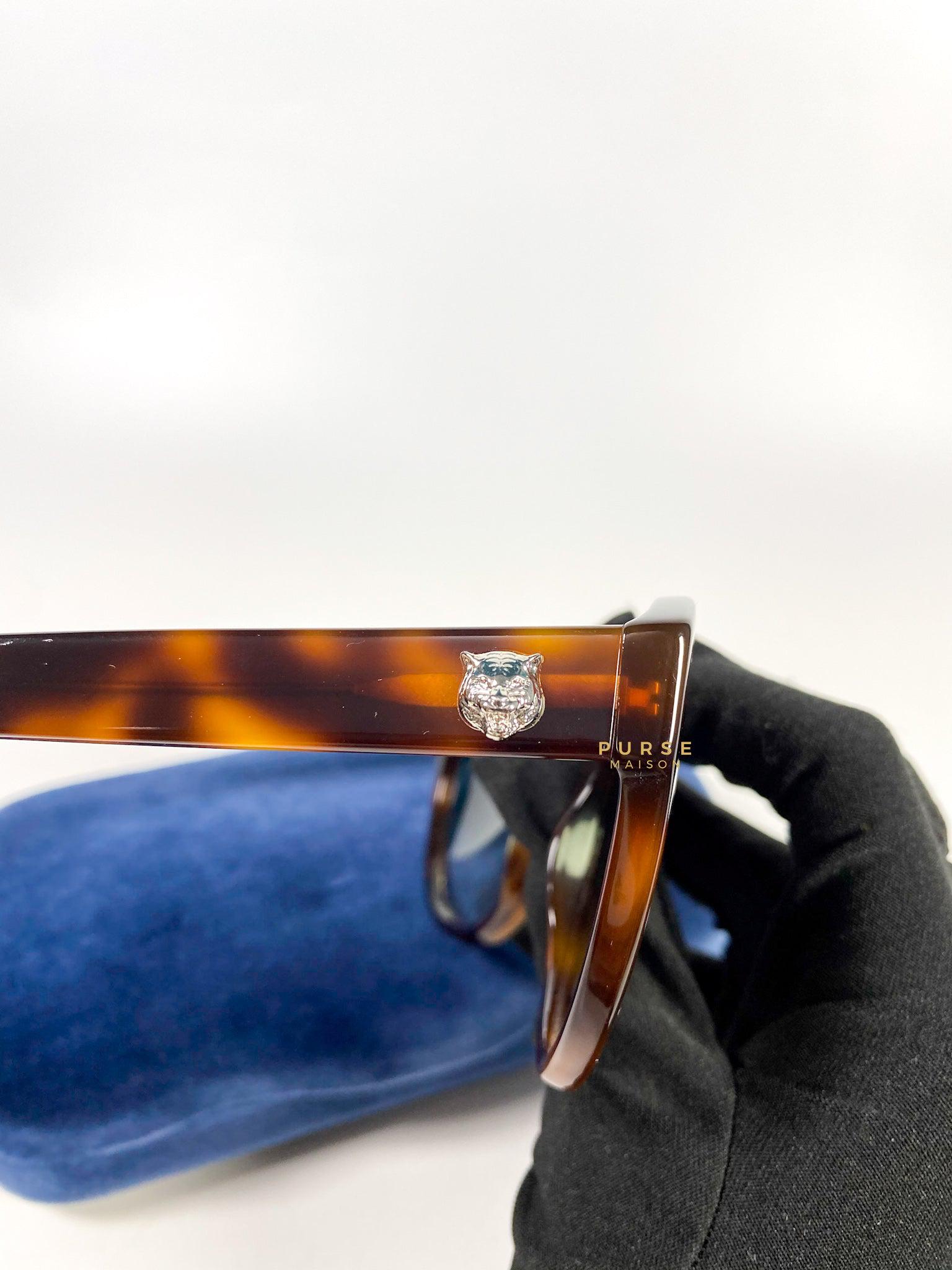 Gucci cat eye brown Sunglasses