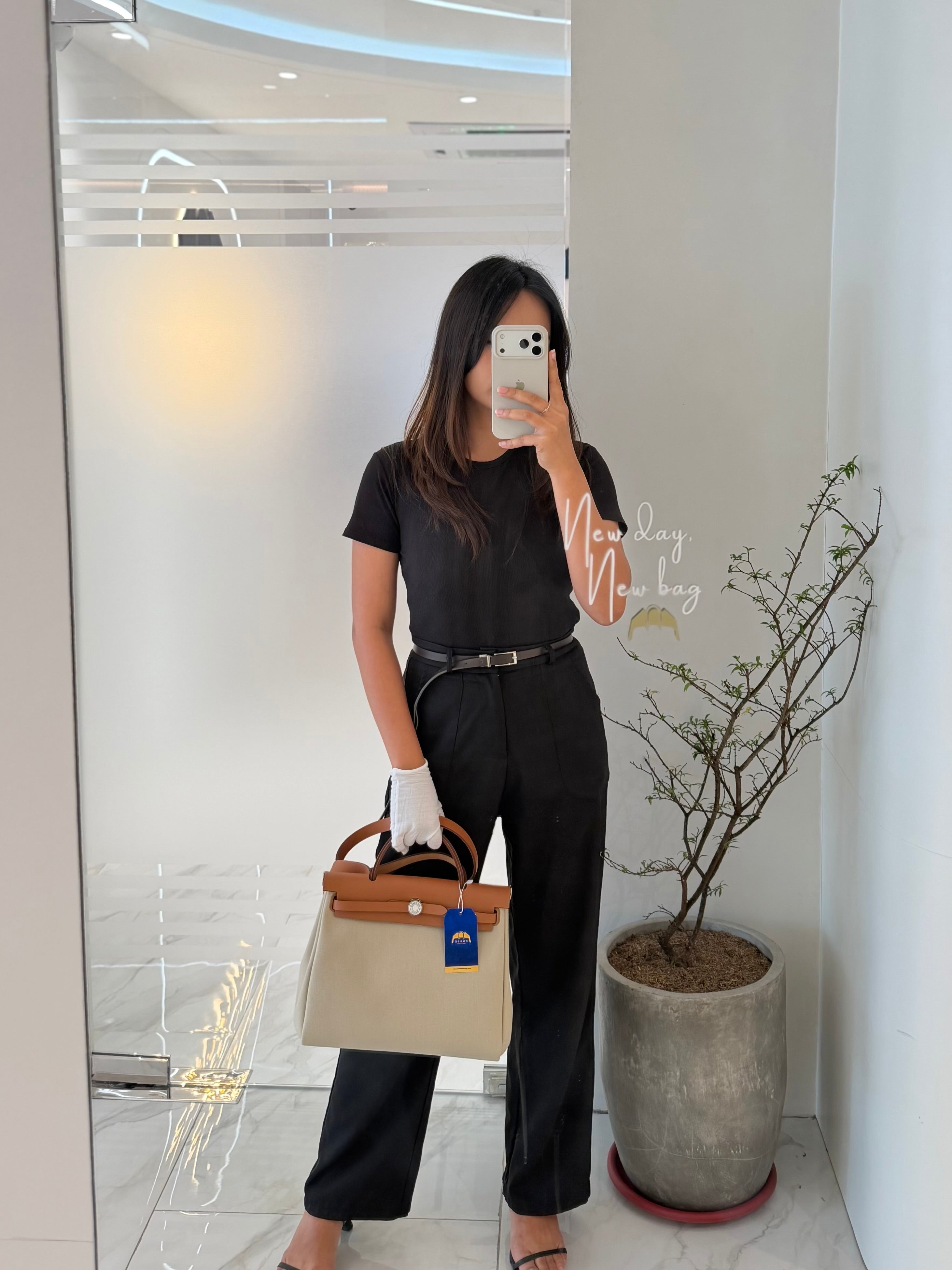 Herbag Zip 31 in Natural Vache and Beton Toile Canvas Palladium Hardware Stamp W(2024) | Purse Maison Luxury Bags Shop