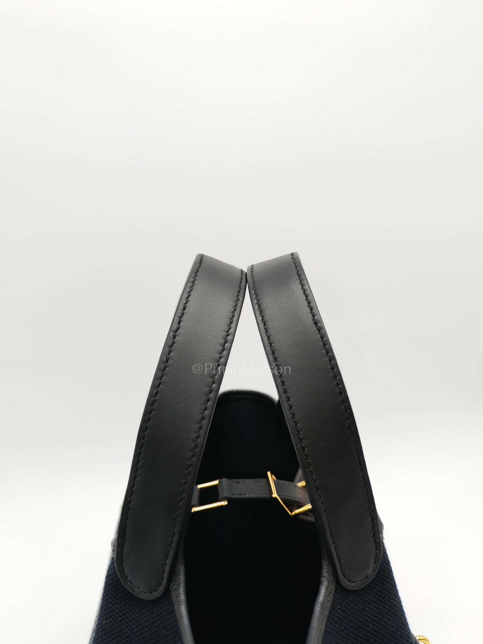Picotin Cargo 18 in Black Swift and Toile Canvas and Gold Hardware Stamp W (2024)