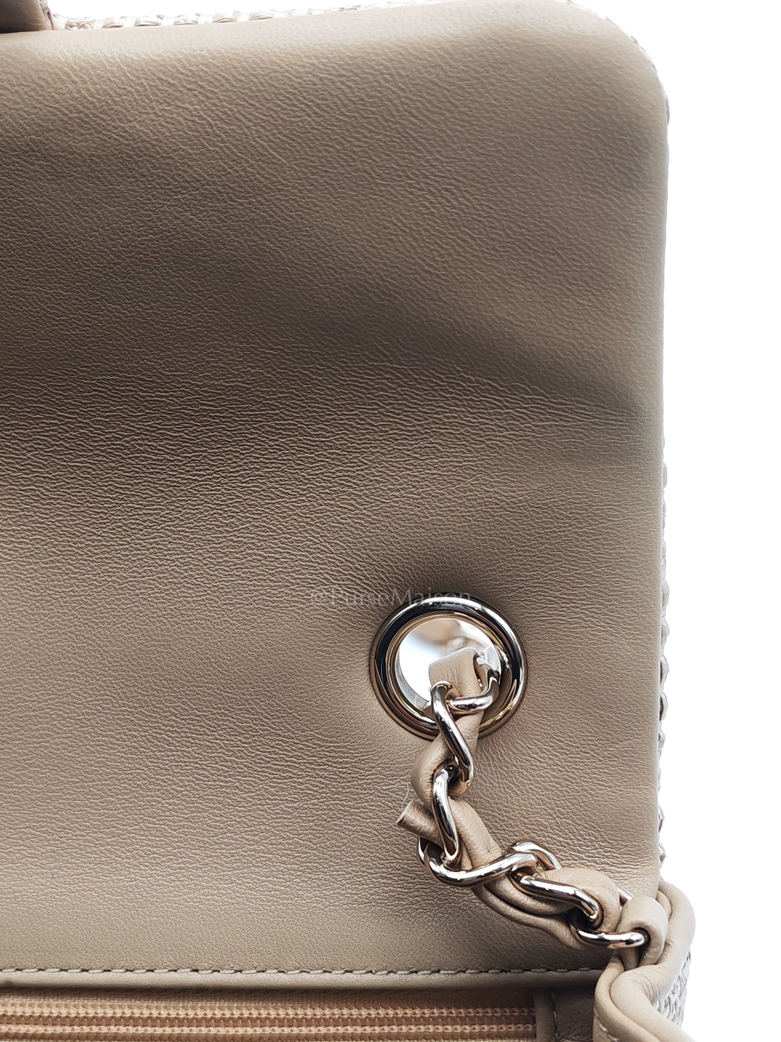 Mini Flap Bag in Dark Beige Raffia & Light Gold Hardware Microchip