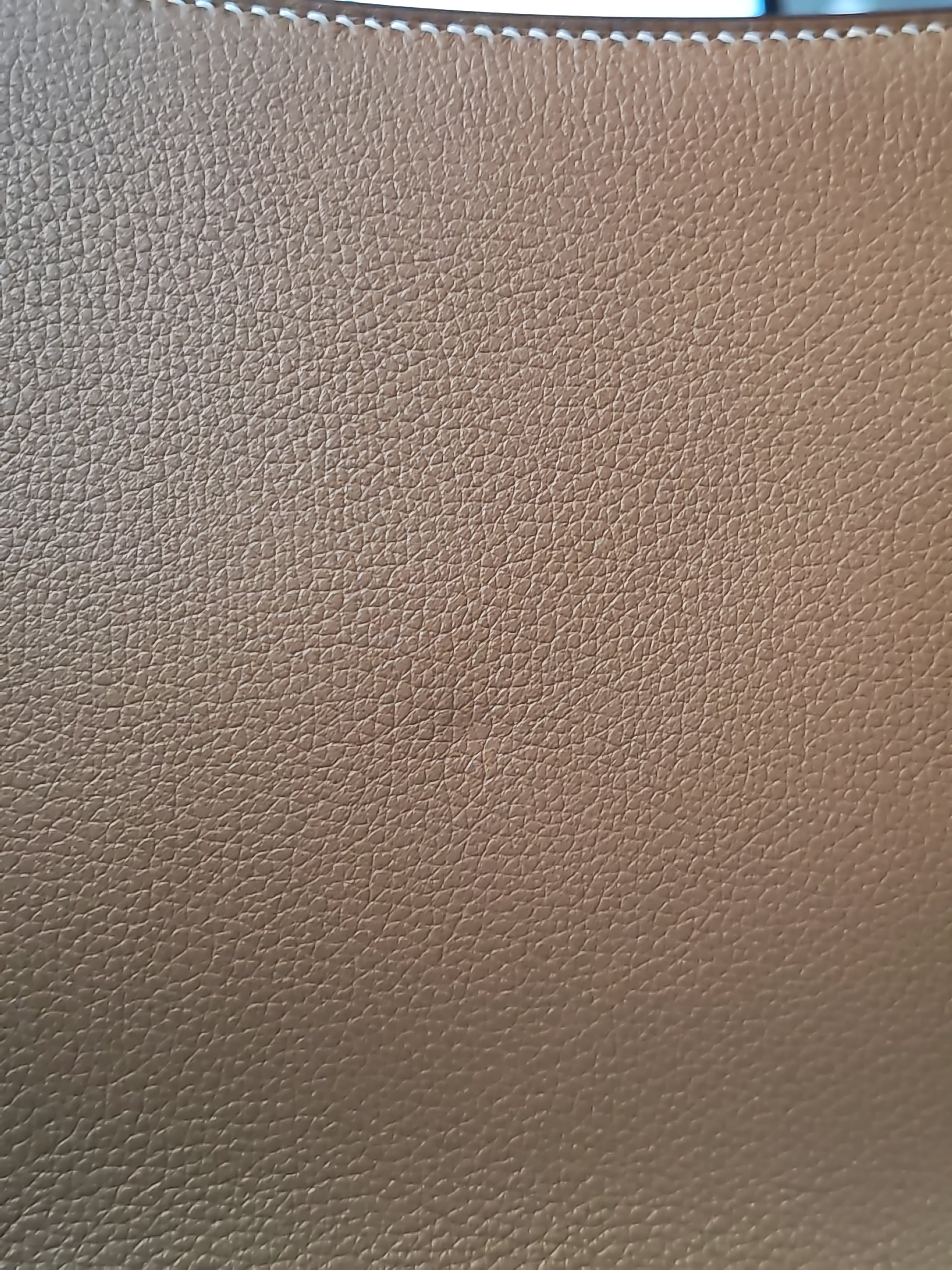 Jypsiere Mini in Gold Evercolor and Gold Hardware Stamp W (2024) | Purse Maison Luxury Bags Shop