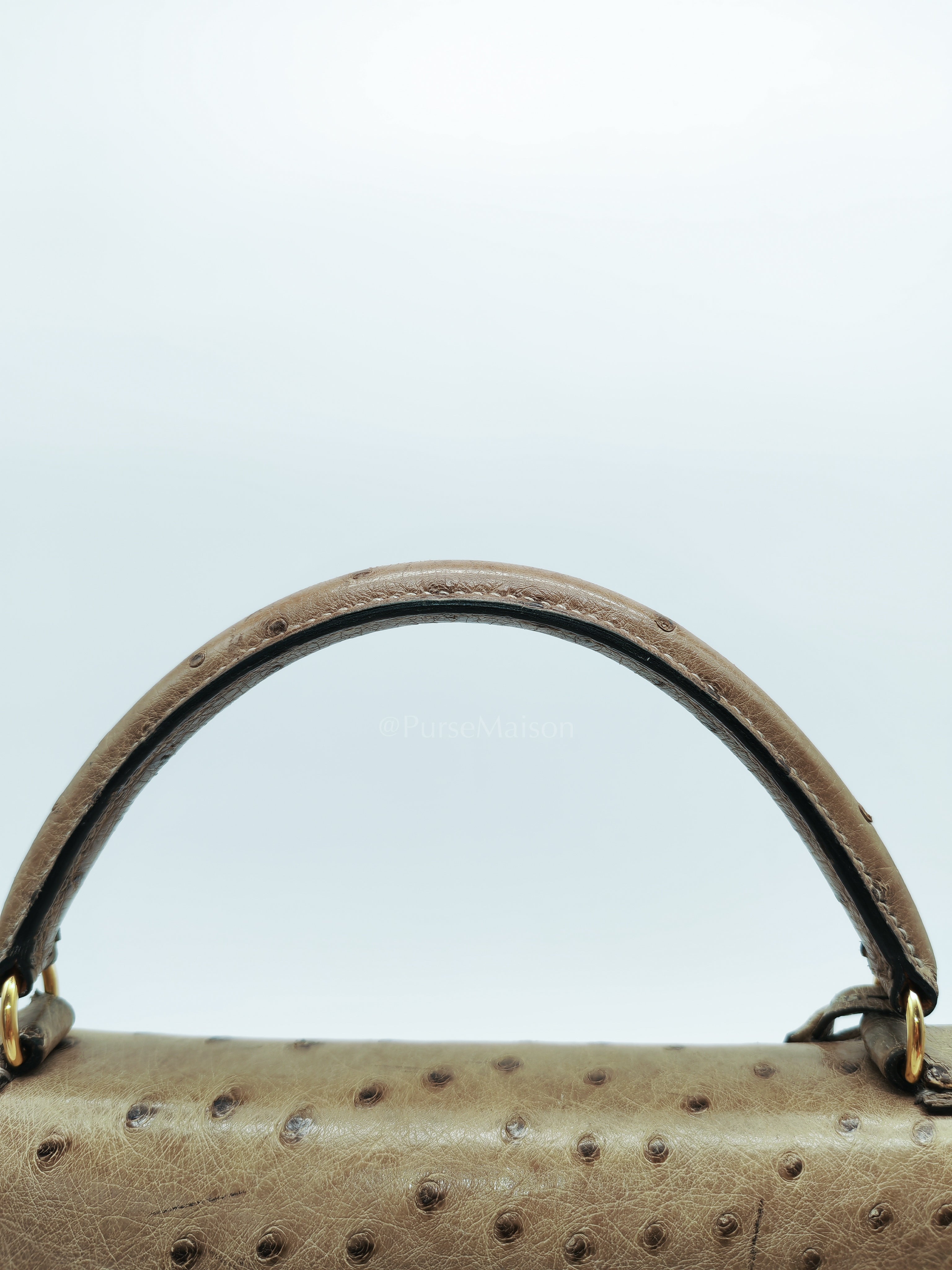 Kelly 32 Sellier in Mousse Ostrich Leather & Gold Hardware Stamp Circle V (1992) | Purse Maison Luxury Bags Shop