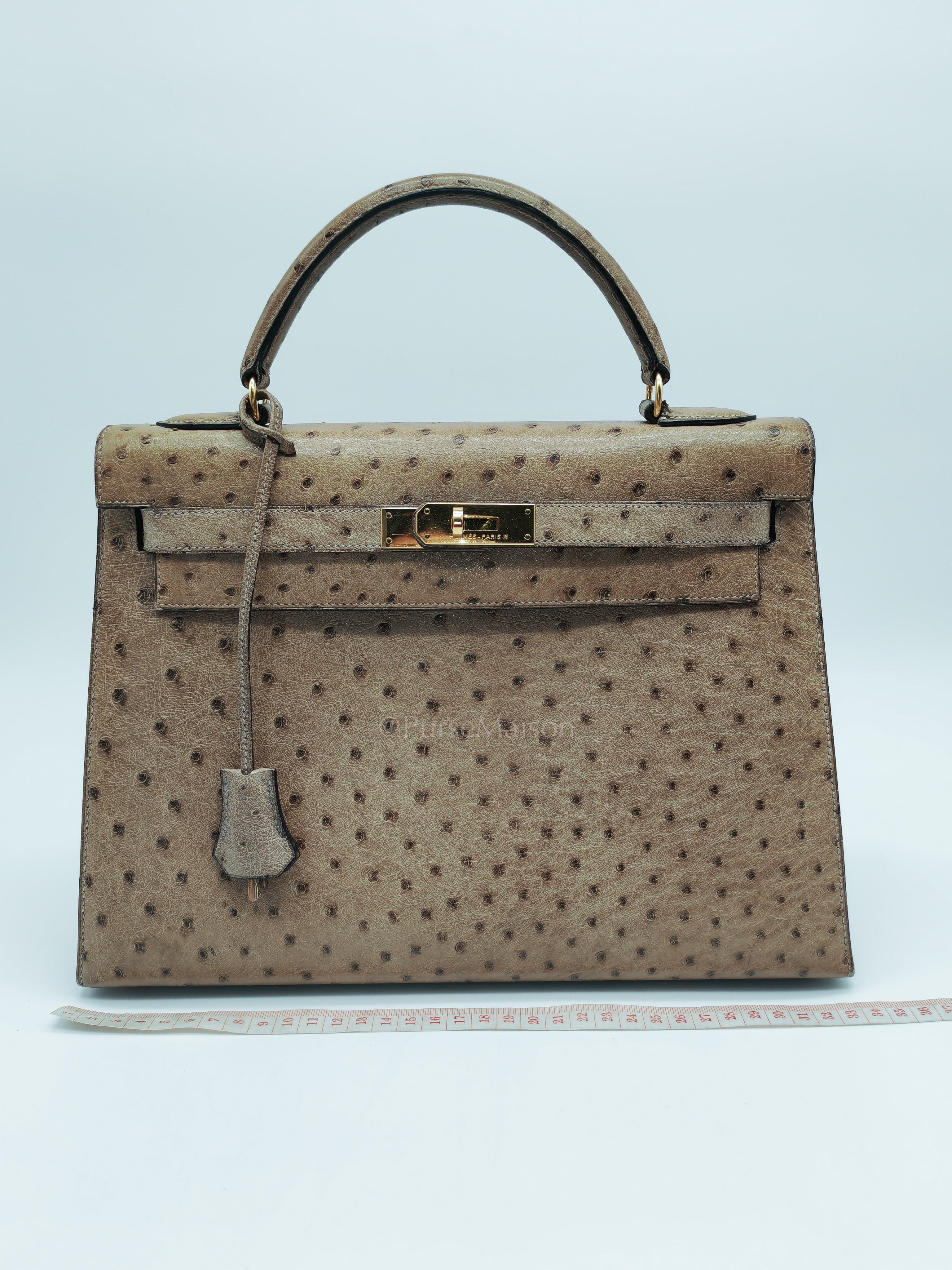 Kelly 32 Sellier in Mousse Ostrich Leather & Gold Hardware Stamp Circle V (1992) | Purse Maison Luxury Bags Shop