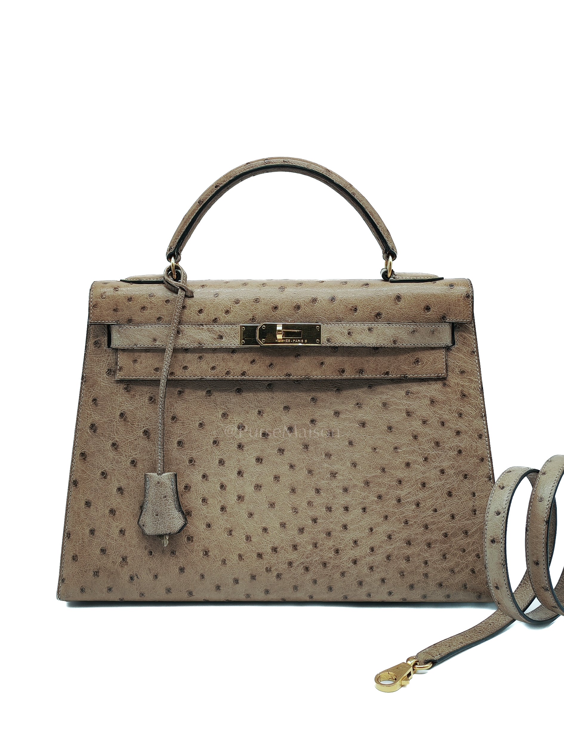 Kelly 32 Sellier in Mousse Ostrich Leather & Gold Hardware Stamp Circle V (1992) | Purse Maison Luxury Bags Shop