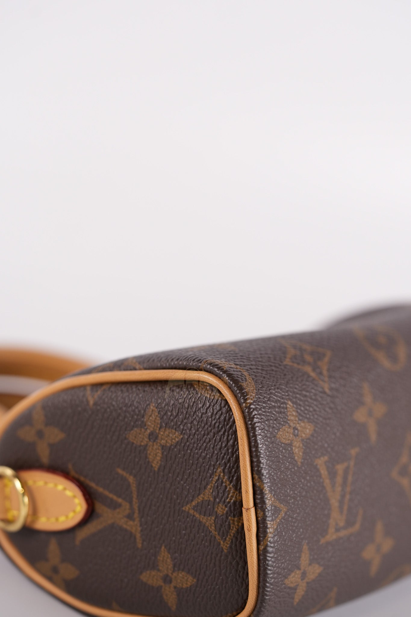 Speedy Nano in Monogram Canvas (Date code: TY0222)