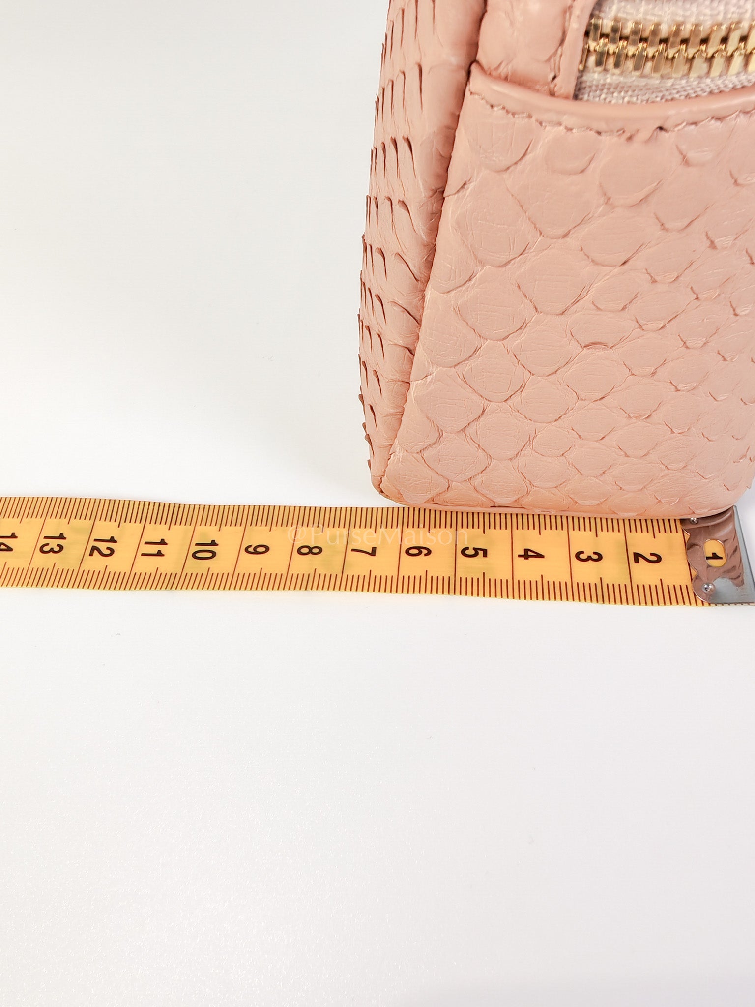 L19 Extra Pocket in Python Leather and Gold Hardware Two-Way Shoulder Bag | Purse Maison Luxury Bags Shop