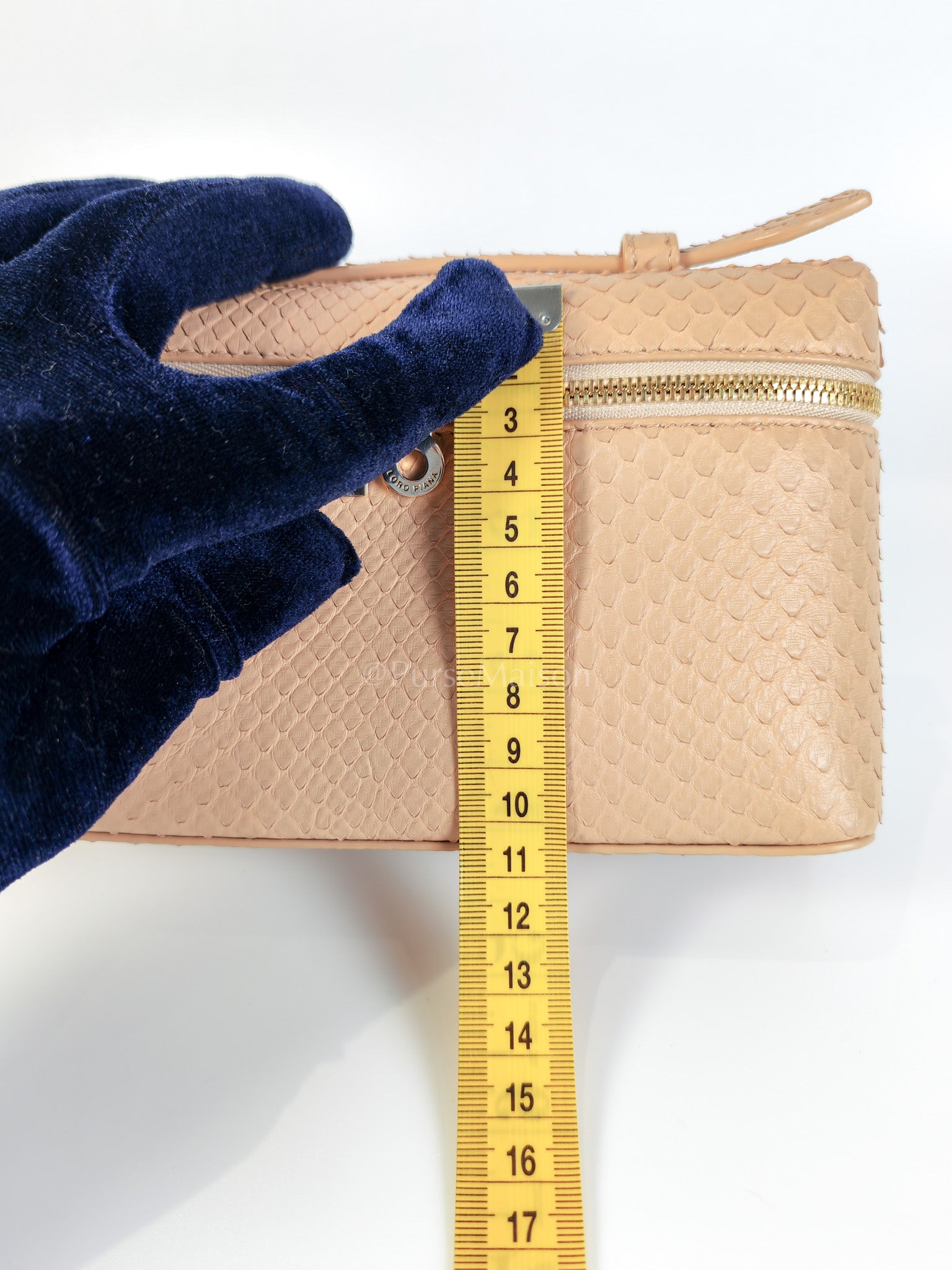 L19 Extra Pocket in Python Leather and Gold Hardware Two-Way Shoulder Bag | Purse Maison Luxury Bags Shop