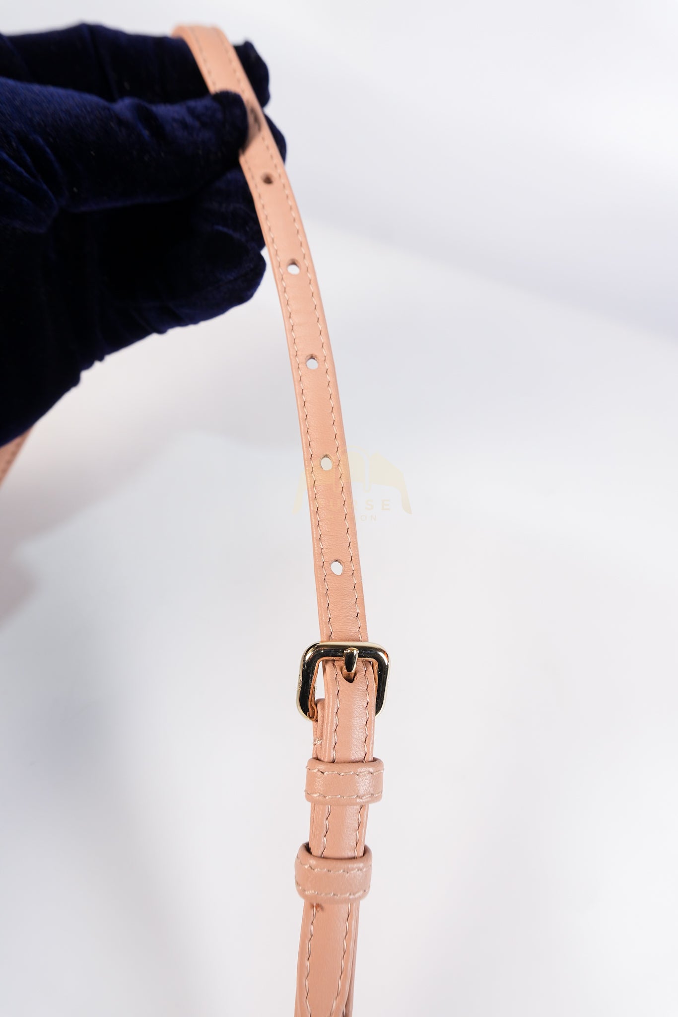 Lady D-Joy Micro Rose De Vents Light Gold Hardware | Purse Maison Luxury Bags Shop