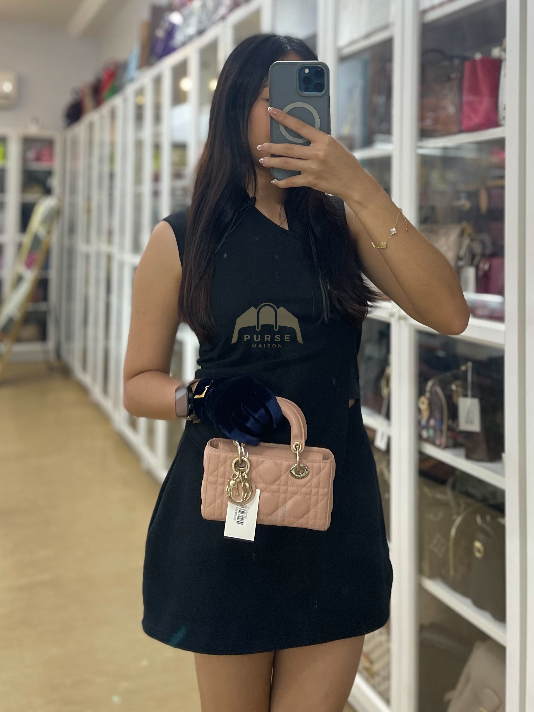 Lady D-Joy Micro Rose De Vents Light Gold Hardware | Purse Maison Luxury Bags Shop