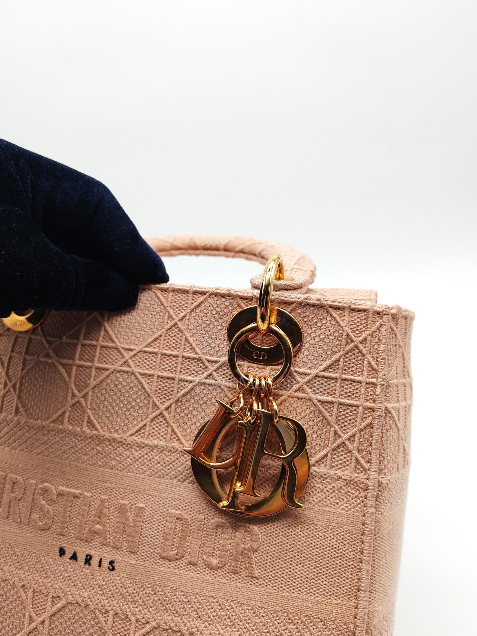 Lady D-Lite Medium in Blush Rose Canvas and Rose Gold Hardware Shoulder Bag | Purse Maison Luxury Bags Shop