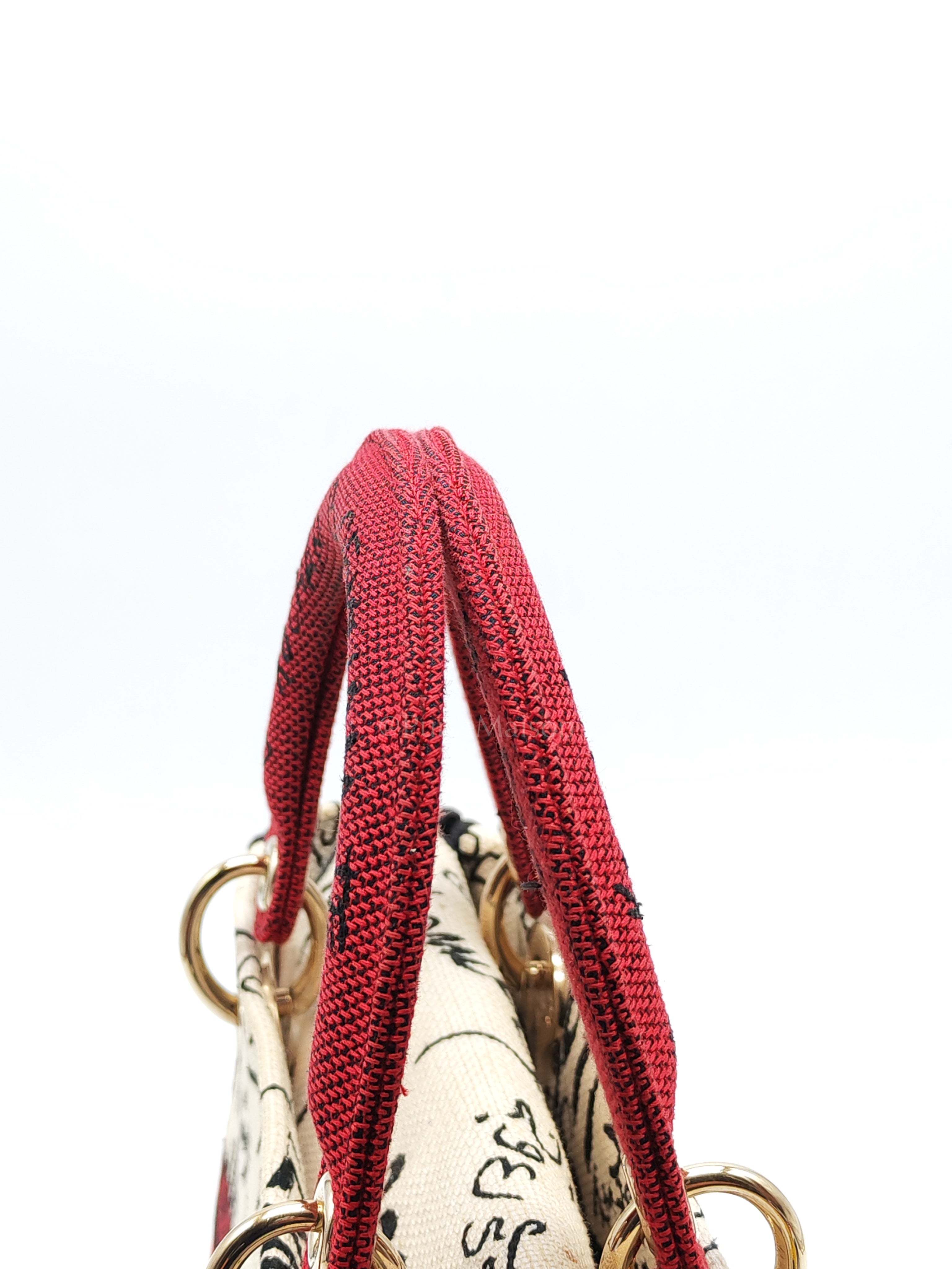 Lady D-Lite Medium in Latte Multicolor Dioramour Graffiti Embroidery & Light Gold Hardware | Purse Maison Luxury Bags Shop