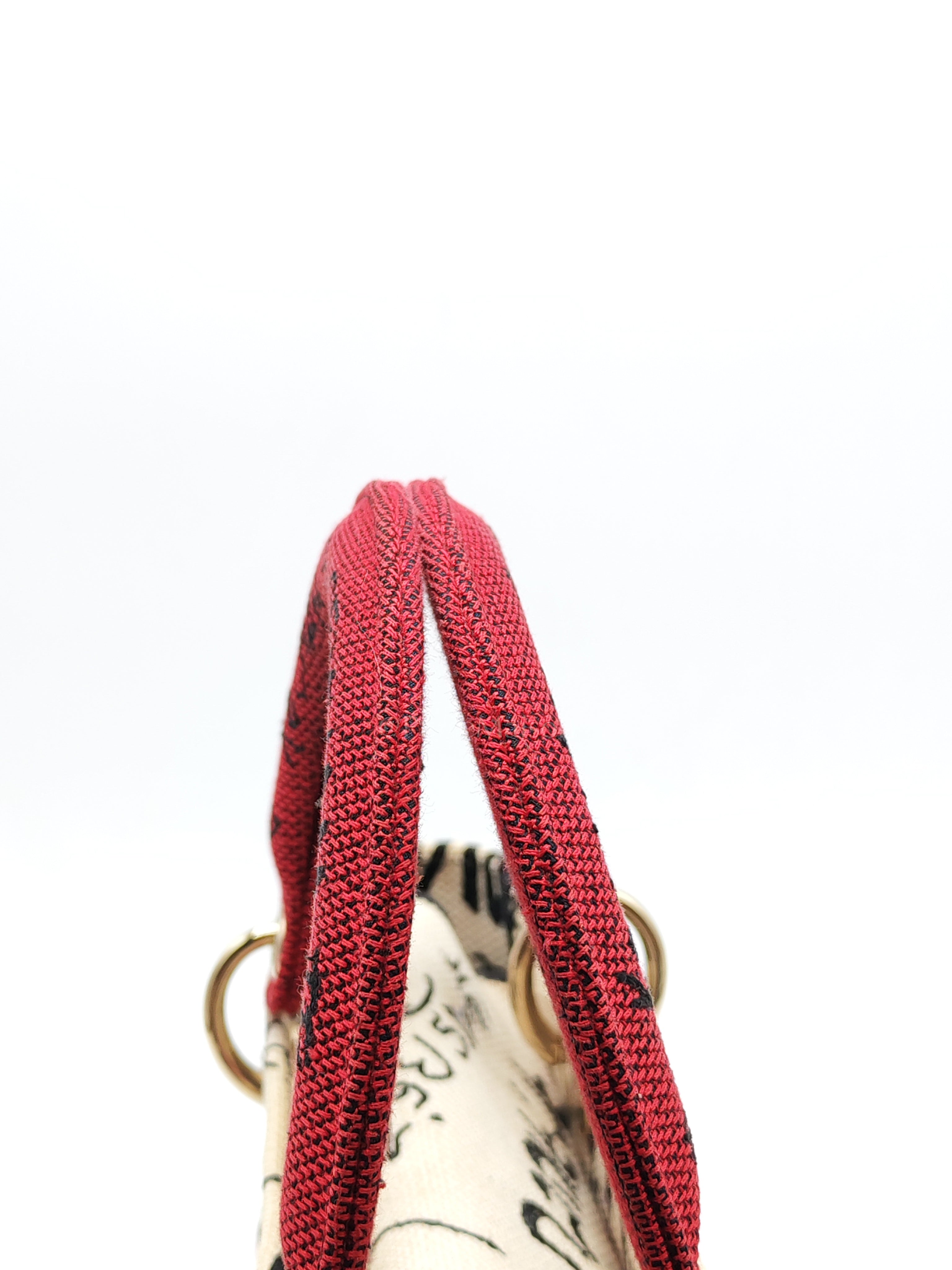 Lady D-Lite Medium in Latte Multicolor Dioramour Graffiti Embroidery & Light Gold Hardware | Purse Maison Luxury Bags Shop