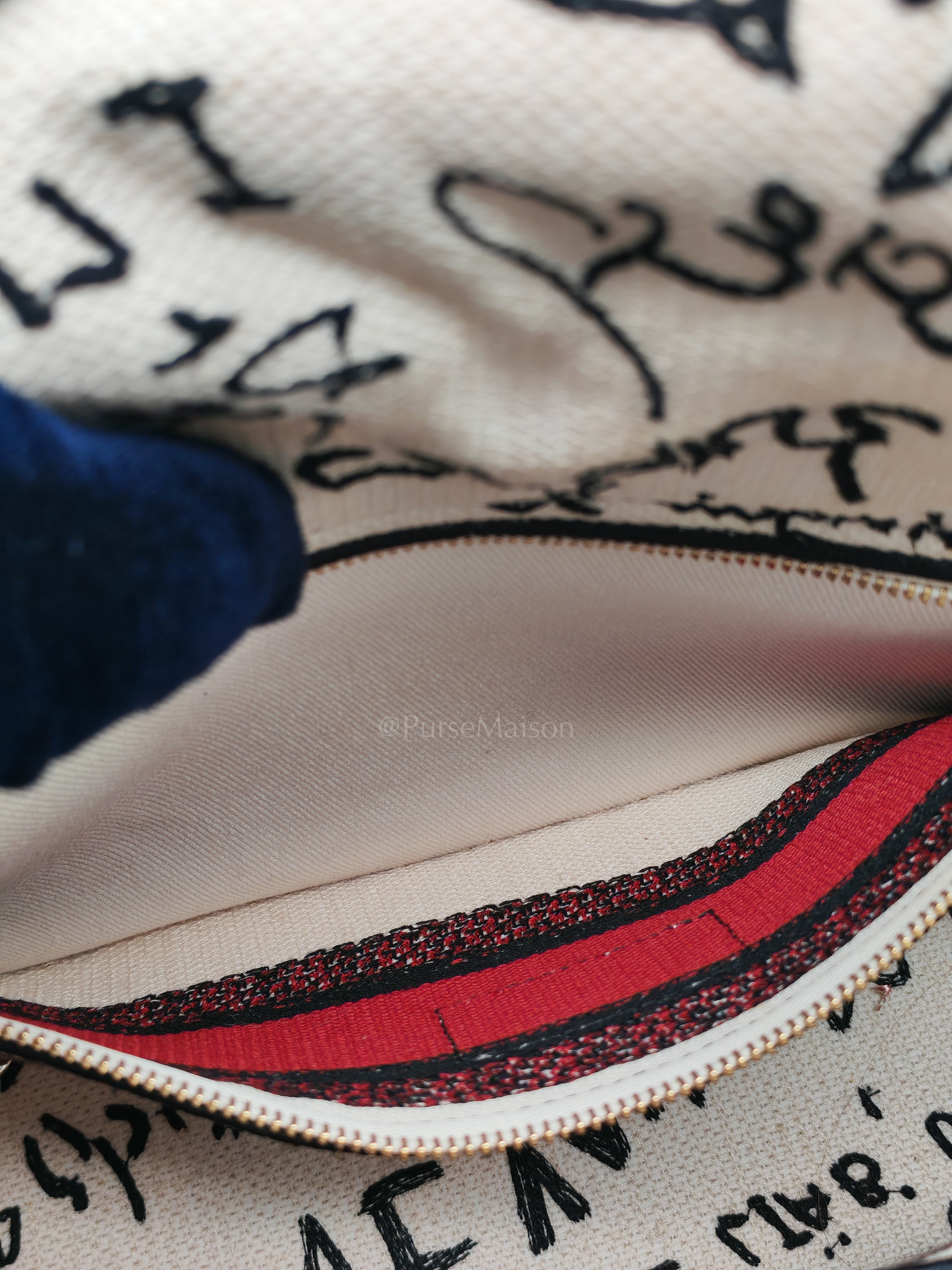 Lady D-Lite Medium in Latte Multicolor Dioramour Graffiti Embroidery & Light Gold Hardware | Purse Maison Luxury Bags Shop